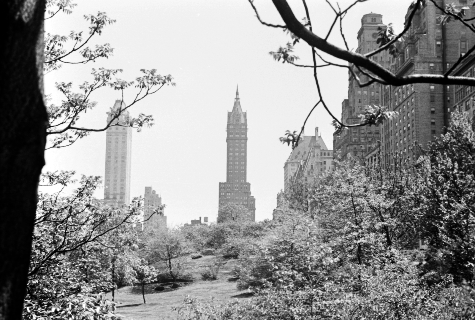 USA, New York, A Sherry - Netherlands Hotel (középen) a Central Park irányából. Balra a Pierre Hotel, jobbra a Plaza Hotel épülete látható., 1939, Fortepan, hotel, high-rise building, Schultze&Weaver-design, Buchman&Kahn-design, Henry Janeway Hardenbergh-design, Fortepan #25410