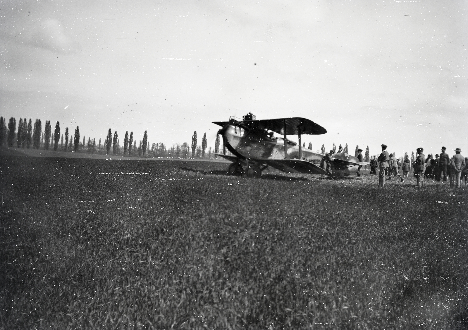 1918, Kriszt Béla, airplane, camouflage pattern, Fortepan #254184