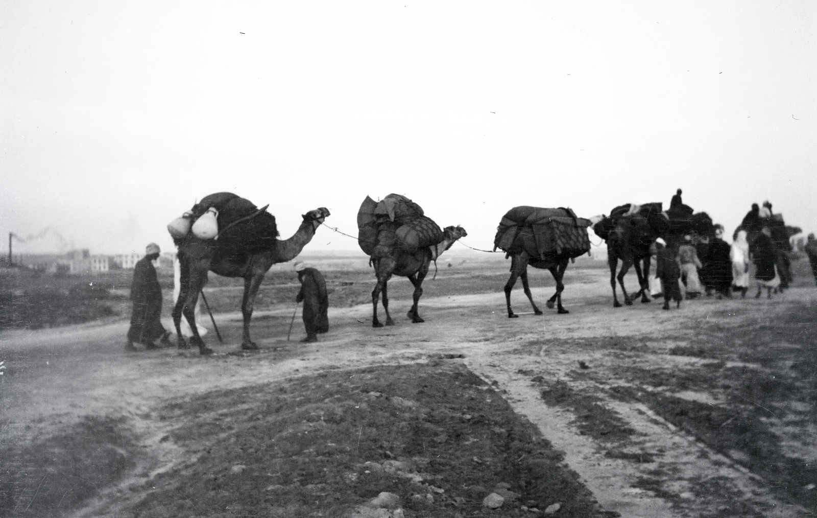 1913, Kriszt Béla, carrying loads, camel, caravan, Fortepan #254313