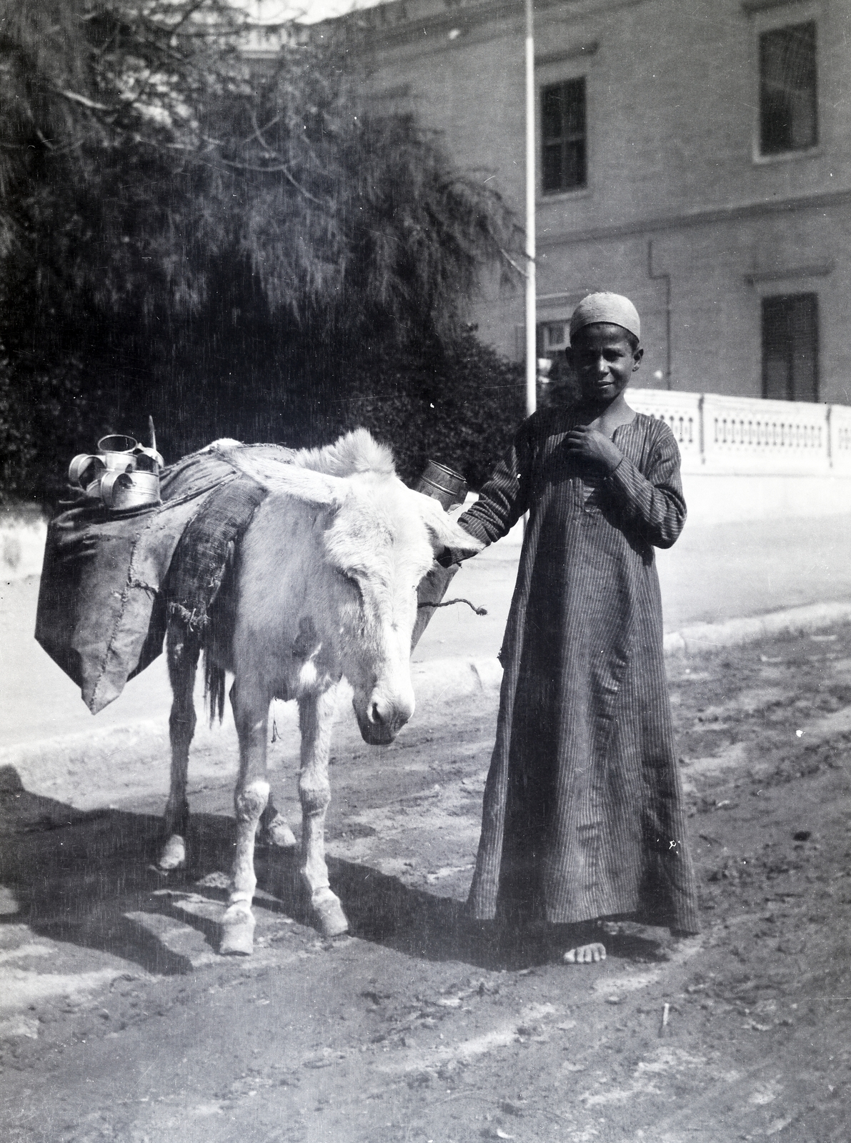 1913, Kriszt Béla, carrying loads, donkey, Fortepan #254325