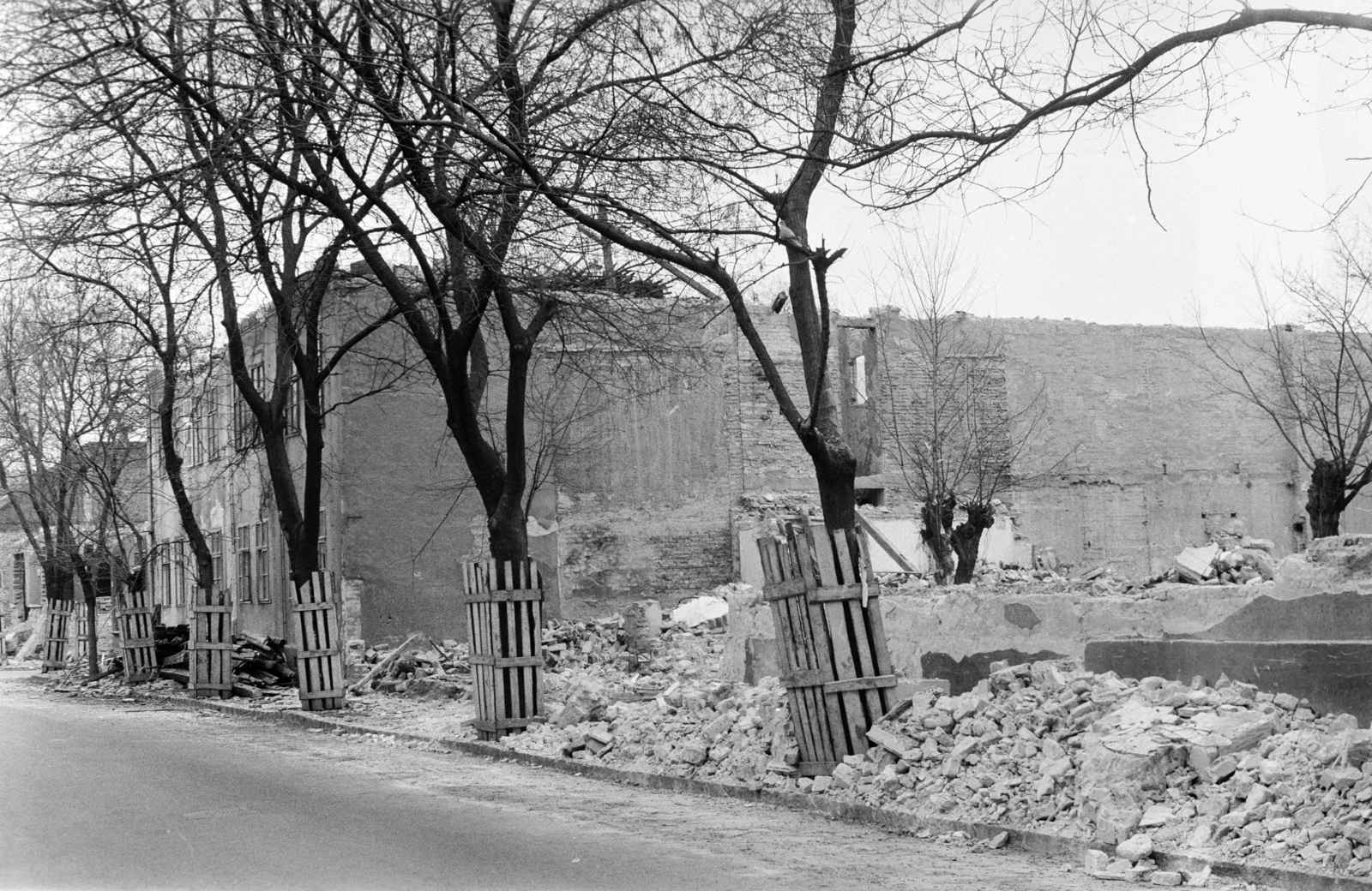 Hungary, Budapest IV., Jókai utca - Lebstück Mária utca - Petőfi utca határolta bontási terület a lakótelep építésének kezdetekor. A Jókai utca a Lebstück Mária utca felé nézve., 1974, Otruba Ferenc és Zoltán, demolition, tree guard, Budapest, Fortepan #254626