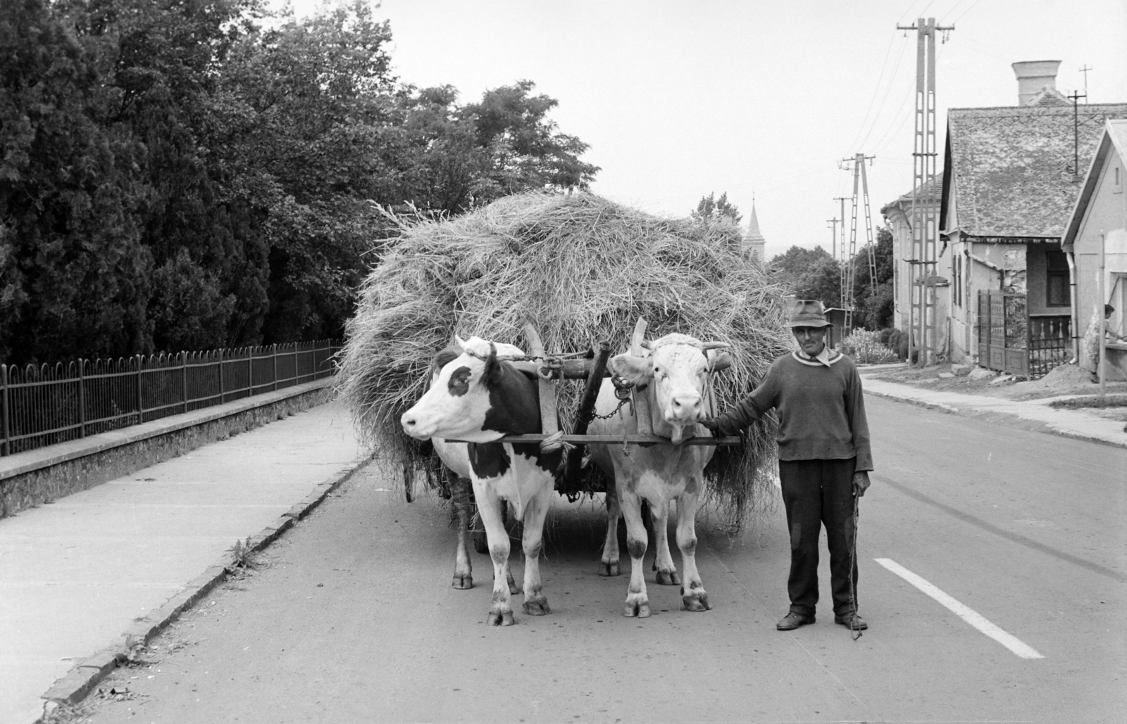 Hungary, Kossuth Lajos utca, balra az Andrássy-kastély kerítése, a háttérben a református templom tornya látszik., 1979, Otruba Ferenc és Zoltán, yoke, pride, hackery, cattle, hay, Fortepan #254646