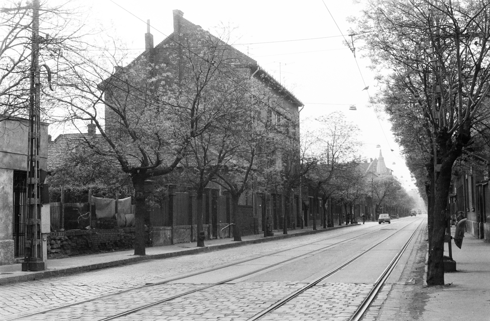 Magyarország, Budapest IV., István (Bajcsy-Zsilinszky) út, a Görgey Artúr (Dózsa György) utcától a Városháza felé nézve., 1982, Otruba Ferenc és Zoltán, Budapest, Fortepan #254648