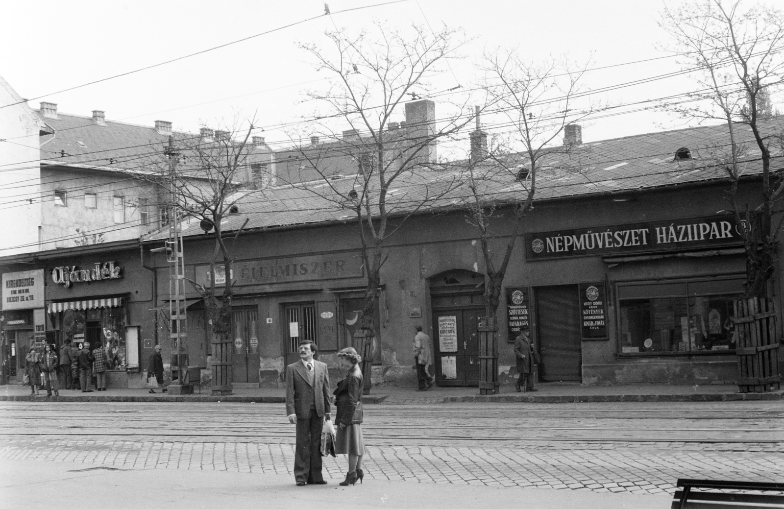 Magyarország, Budapest IV., István (Bajcsy-Zsilinszky) út a Király (Rezi Károly) utca és a Jókai utca között., 1982, Otruba Ferenc és Zoltán, háziipar, Budapest, Fortepan #254657