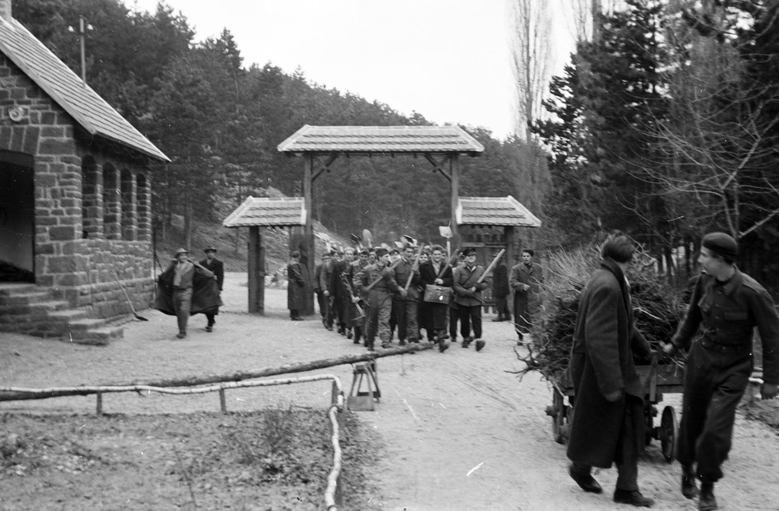 Hungary, Veszprém, a felvétel a veszprémi állatkert, a Kittenberger Kálmán Növény és Vadaskert építésekor készült. Veszprémi egyetemisták önkéntes munkára érkeznek., 1958, Ungváry Rudolf, student, youth, shovel, handbarrow, Fortepan #254707