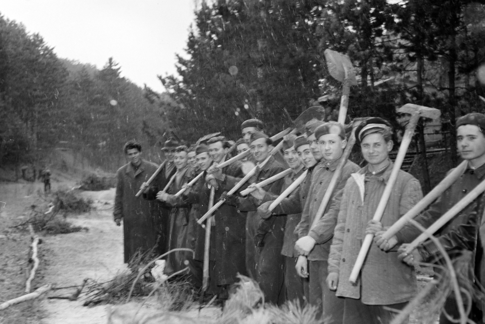 Hungary, Veszprém, a felvétel a veszprémi állatkert, a Kittenberger Kálmán Növény és Vadaskert építésekor készült. Veszprémi egyetemisták önkéntes munkán., 1958, Ungváry Rudolf, youth, shovel, men, Fortepan #254714