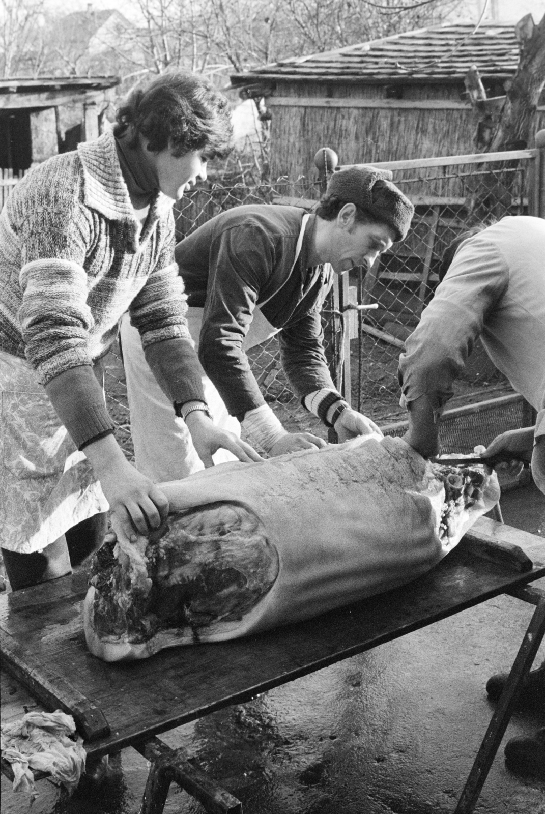 Hungary, disznóvágás., 1986, Bojár Sándor, pig slaughter, Fortepan #255197