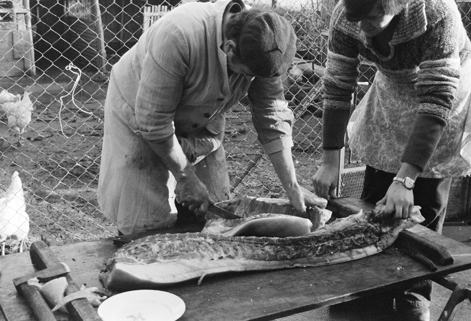 Hungary, disznóvágás., 1986, Bojár Sándor, pig slaughter, Fortepan #255199
