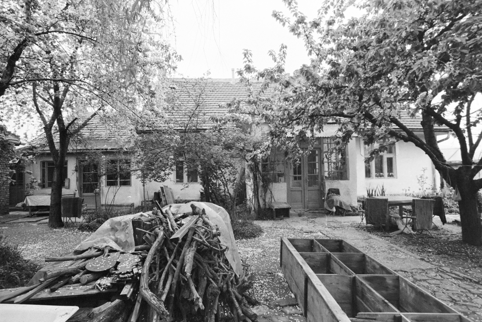 1981, Bojár Sándor, Fortepan #255231