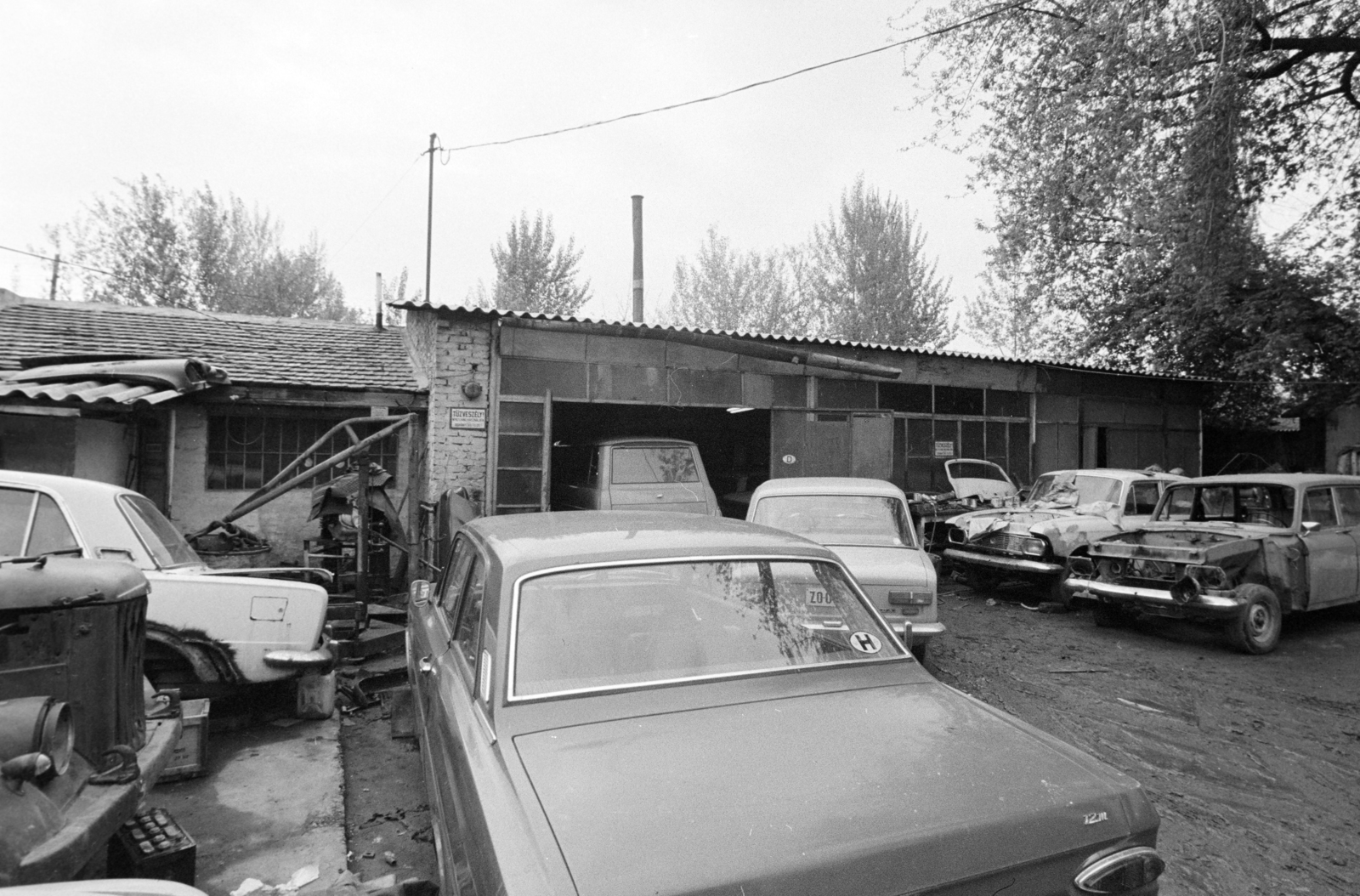 1981, Bojár Sándor, Fortepan #255234