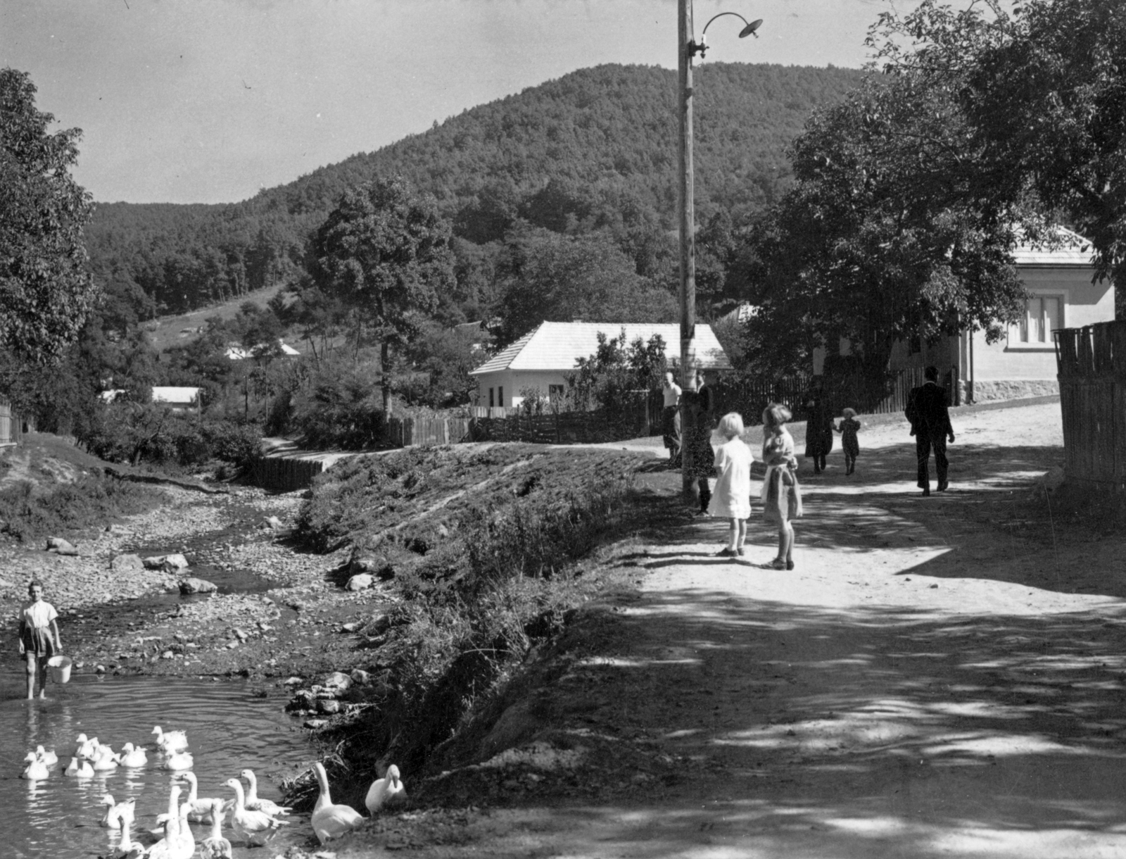 Slovakia, Rožňava, Drázus-patak., 1940, SZF, goose, Fortepan #25526