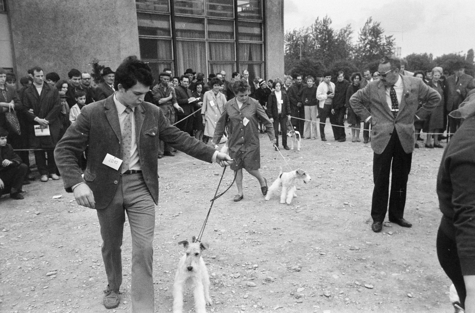 Hungary, Budapest X., Albertirsai úti vásár területe, nemzetközi kutyakiállítás., 1972, Bojár Sándor, Budapest, dog show, Fortepan #255526