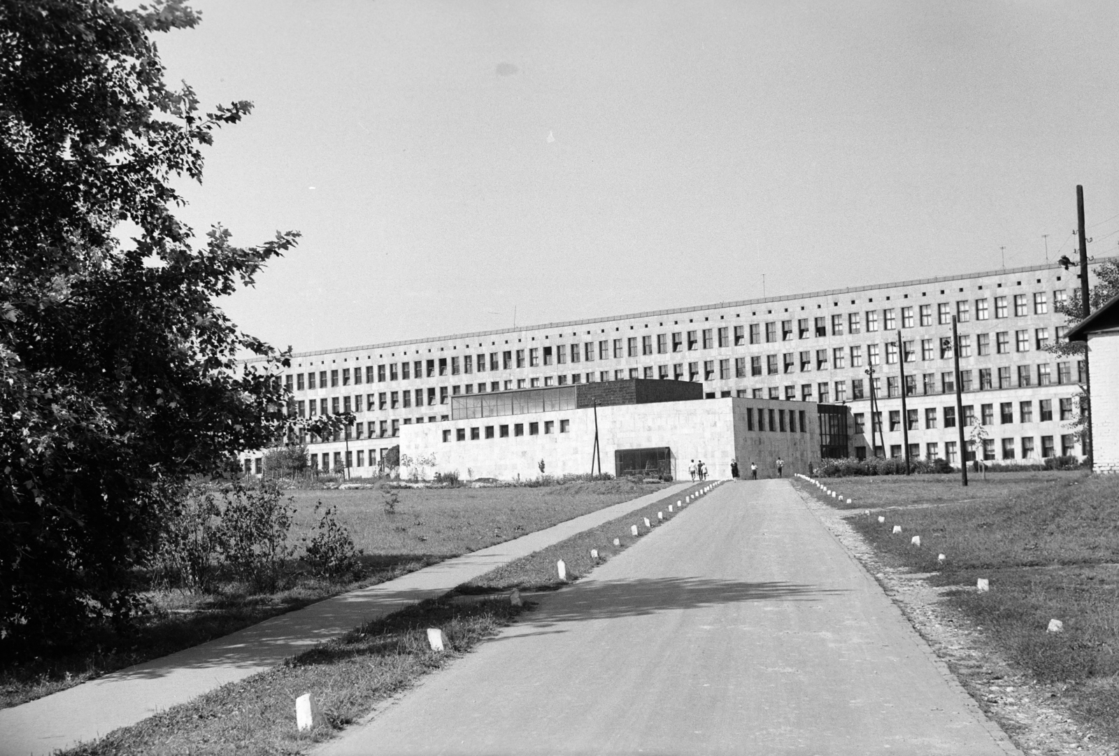 Hungary, Miskolc, Egyetemváros, Nehézipari Műszaki Egyetem (később Miskolci Egyetem), főépület., 1963, Kálnoki Kis Sándor, building, Fortepan #255855