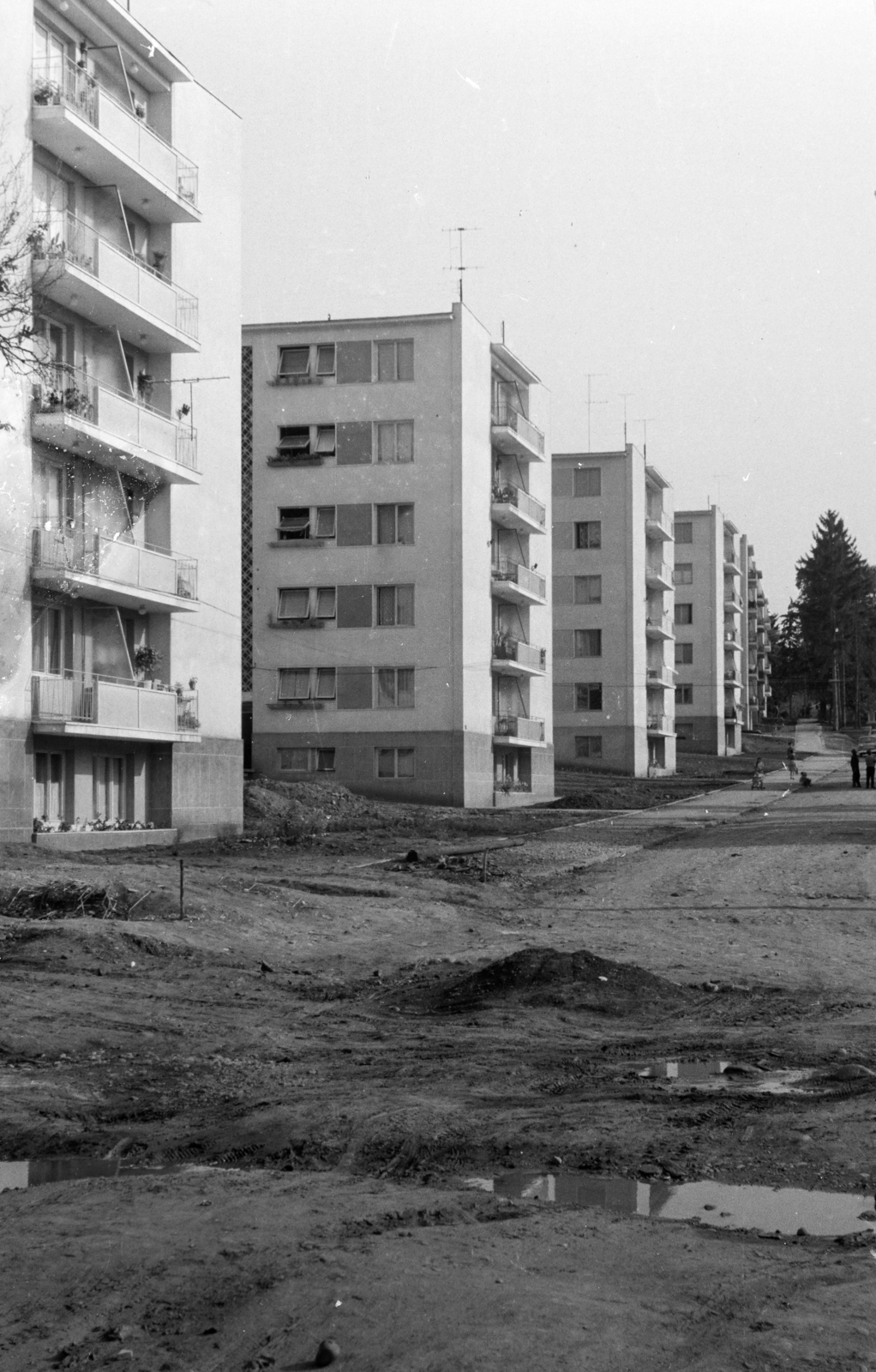 Románia,Erdély, Marosvásárhely, Babits (eredetileg Lehel) utca (strada Argeșului) a Cserjés (eredetileg Előd) utca (strada Crângului) felől a Trébely utca (strada Trébely) felé nézve., 1972, Kálnoki Kis Sándor, lakótelep, Fortepan #255863