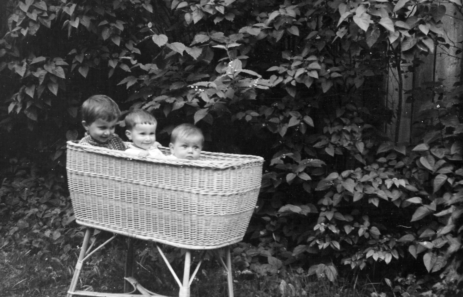 Romania,Transylvania, Ordorheiu Secuiesc, a felvétel a Rózsa utca 6. számú ház udvarán készült., 1962, Kálnoki Kis Sándor, Fortepan #255884