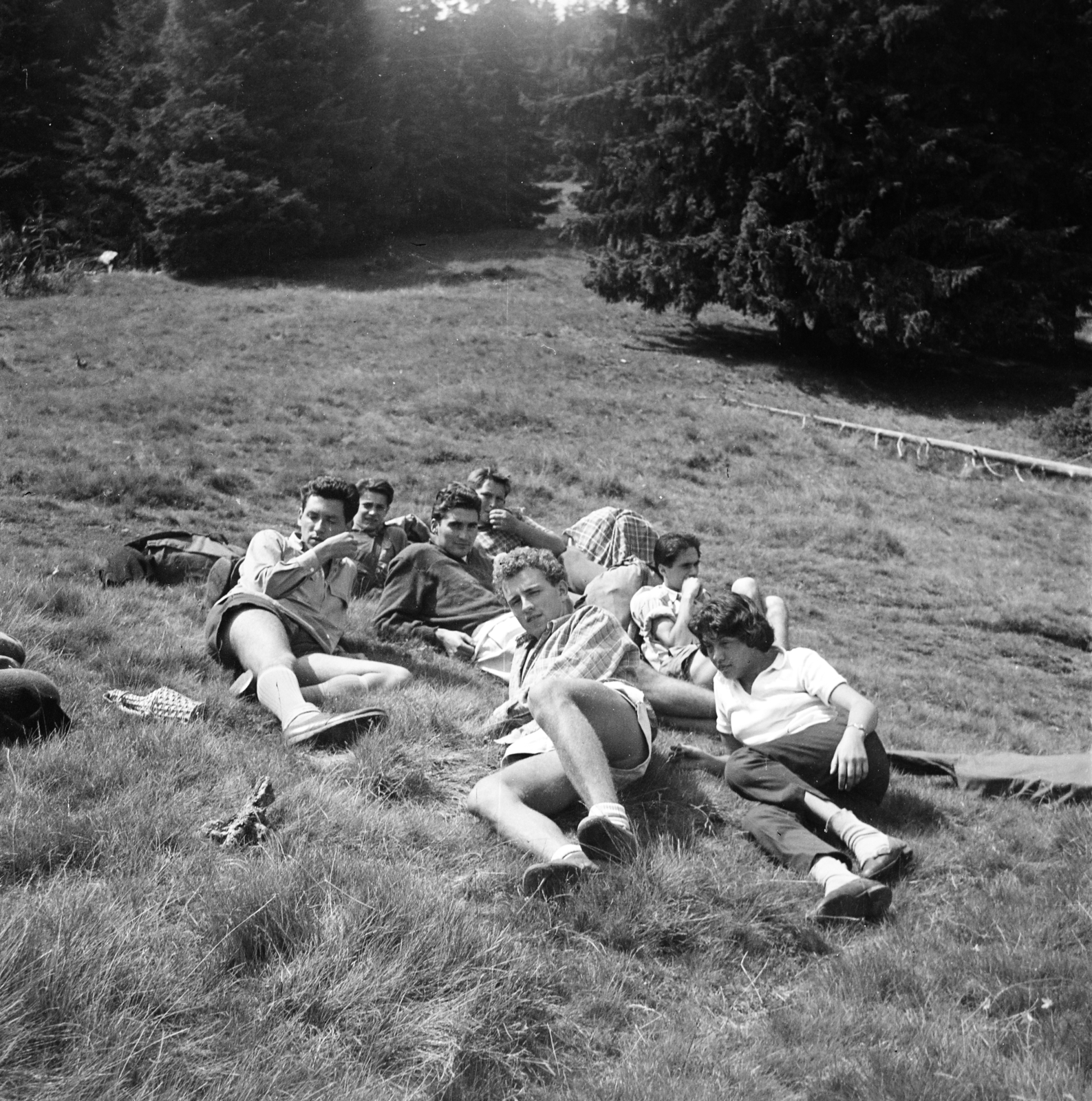 1960, Kálnoki Kis Sándor, fiatalság, fűben feküdni, Fortepan #255983