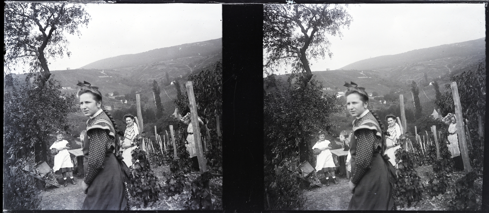 Hungary, Pécs, a felvétel a Donátusi út - Fekete utca környéki szőlőhegyen készült., 1914, Margitta Nóra, vine hill, Fortepan #256004