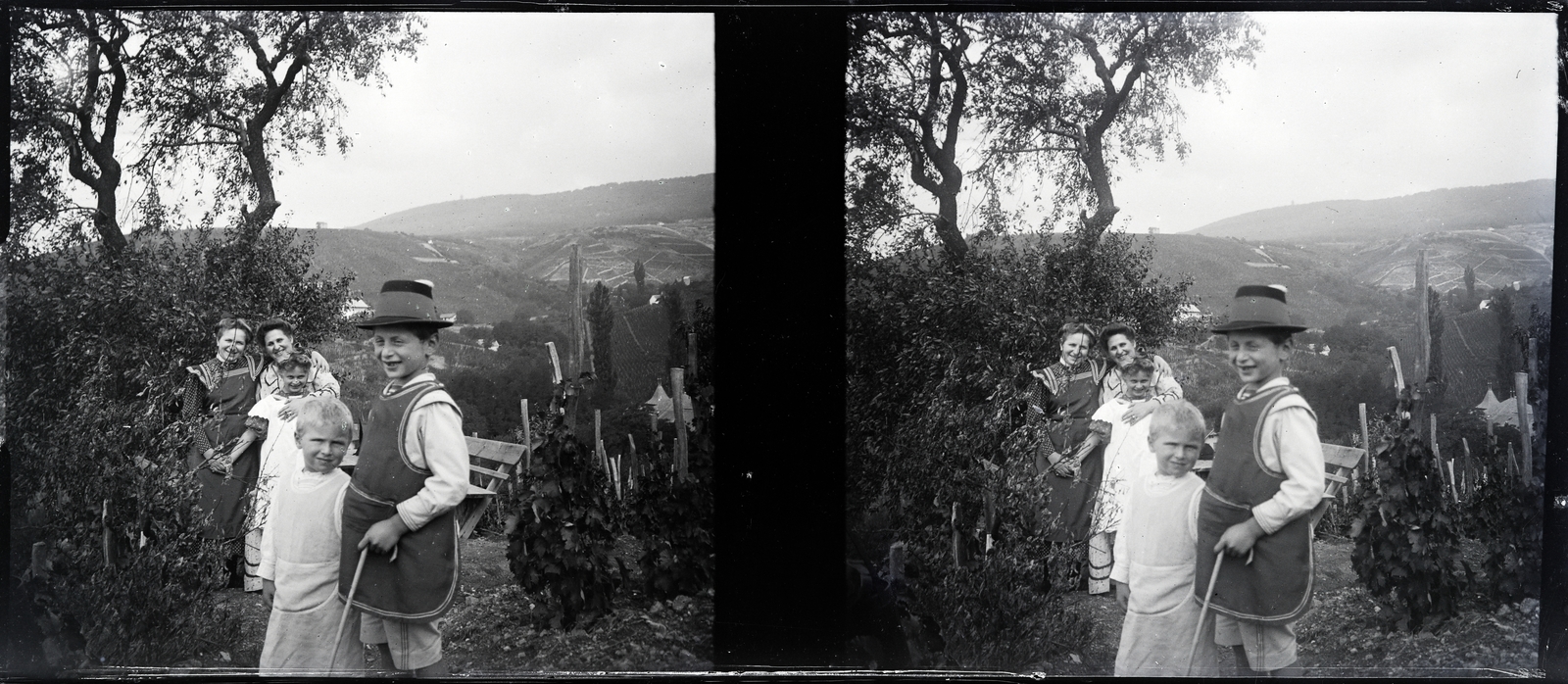 Hungary, Pécs, a felvétel a Donátusi út - Fekete utca környéki szőlőhegyen készült., 1914, Margitta Nóra, kids, mother, stereophoto, vine hill, Fortepan #256010