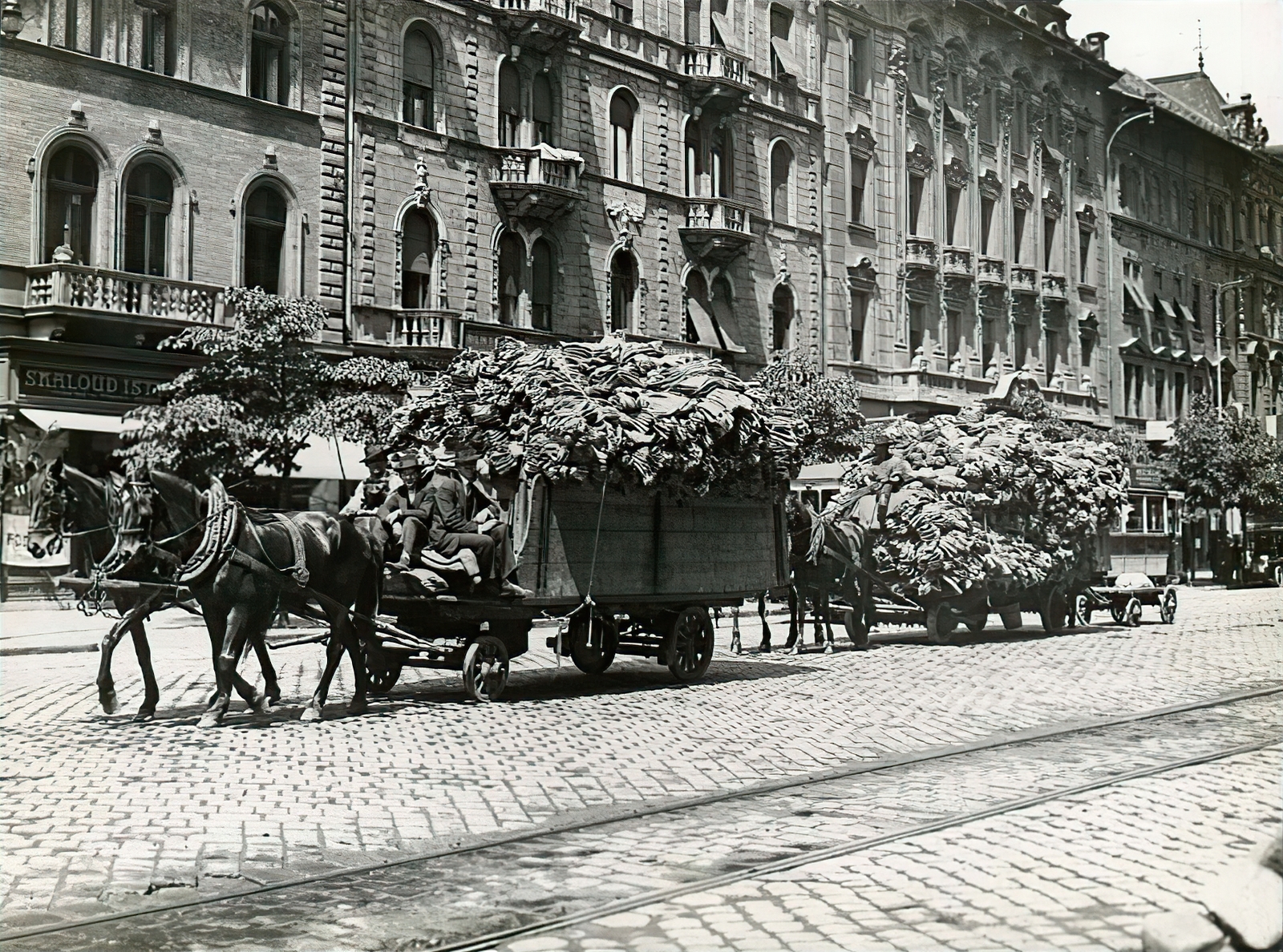 Hungary, Budapest VIII., József körút, egyenruhát szállító lovaskocsik, a háttérben középen a 9-es és 7-es számú ház., 1916, Országos Széchényi Könyvtár, Budapest, Fortepan #256094