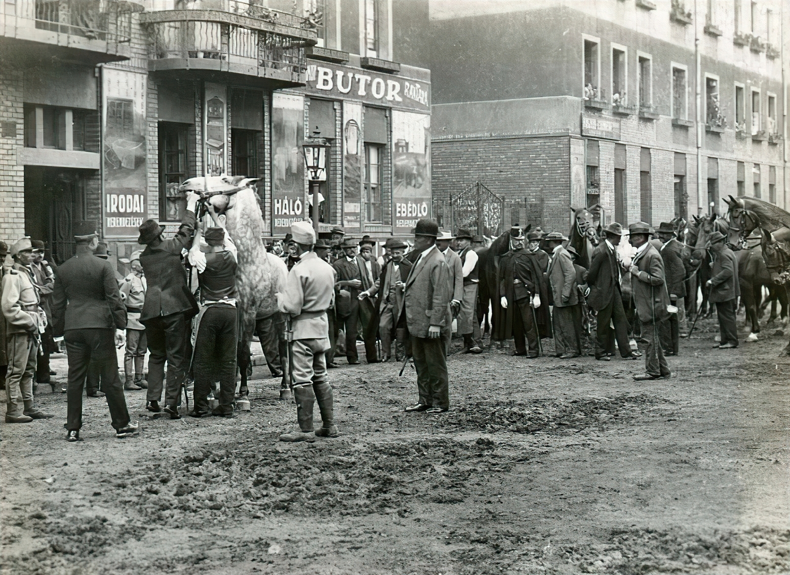 Hungary, Budapest VIII., Fiumei út, háttérben a 21-23 szám, az előtérben lósorozás látható 1914 augusztusában, az I. világháború kitörése utáni mozgosítás idején., 1914, Országos Széchényi Könyvtár, Budapest, sign-board, furniture shop, horse, Fortepan #256253