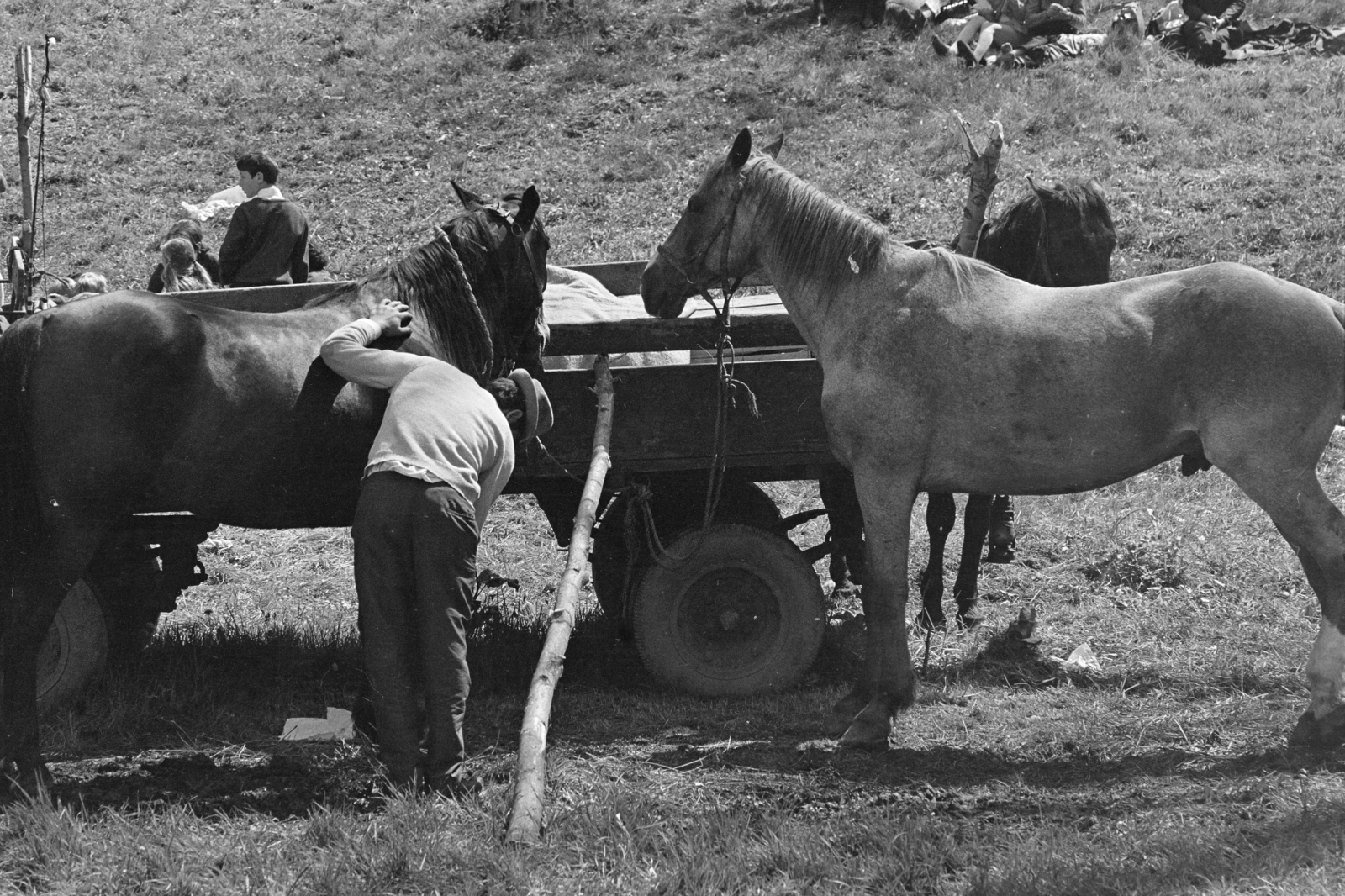 Hungary, Bajót, Péliföldszentkereszt, a felvétel a Szalézi rendház közelében tartott búcsú idején készült., 1970, Székely Balázs, Fortepan #256409