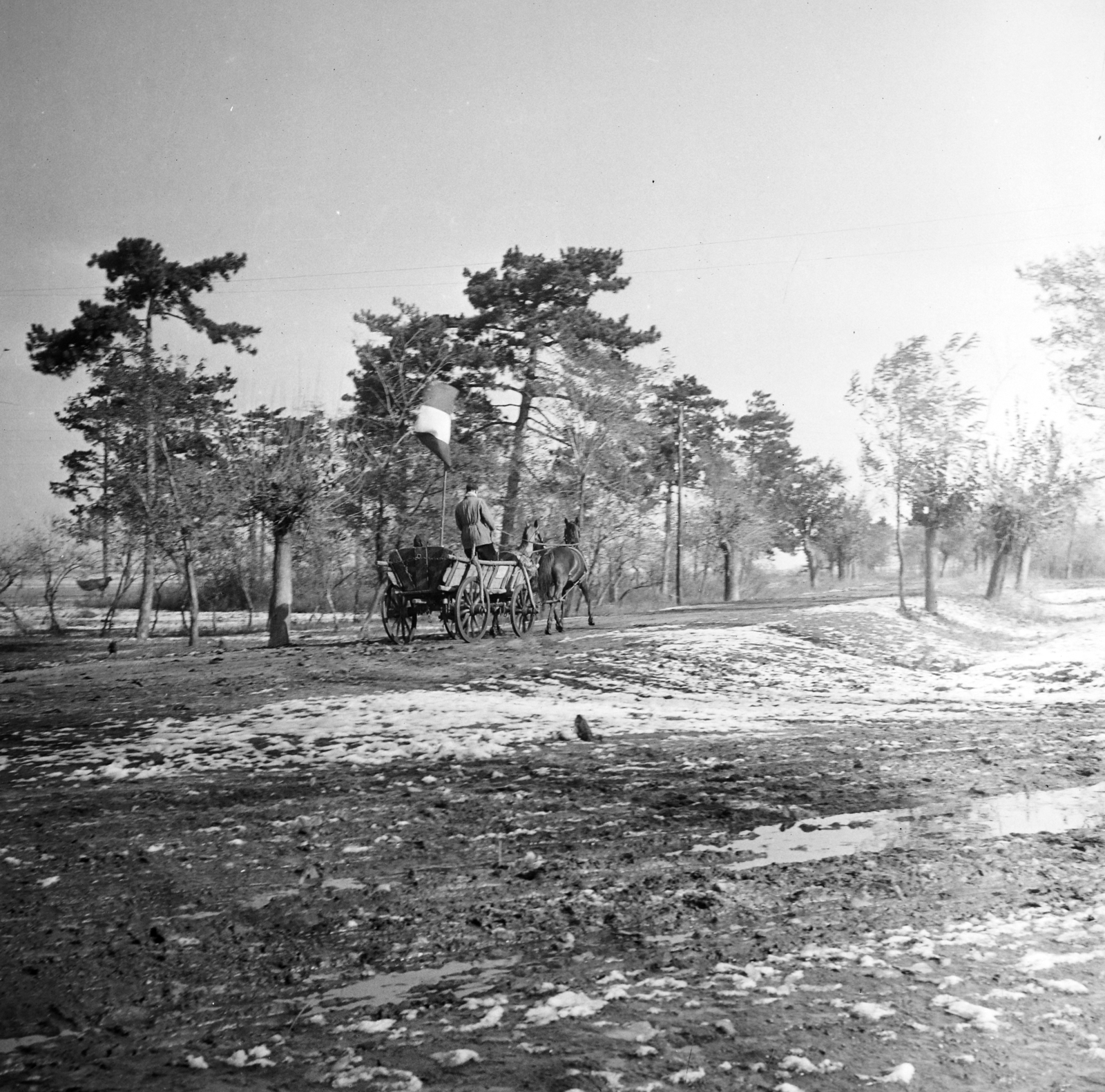 1956, Peter, Isaac, Best of, Horse-drawn carriage, flag, photo aspect ratio: square, Fortepan #256767
