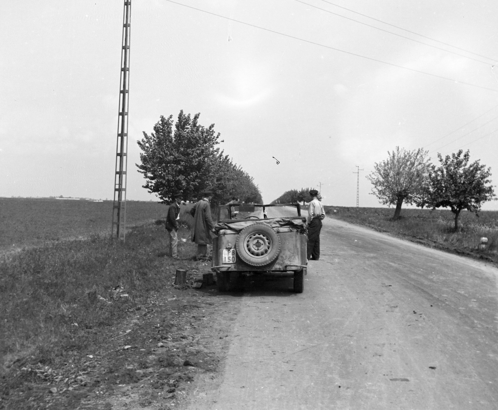 1955, Bolvári László, number plate, spare wheel, Fortepan #256900