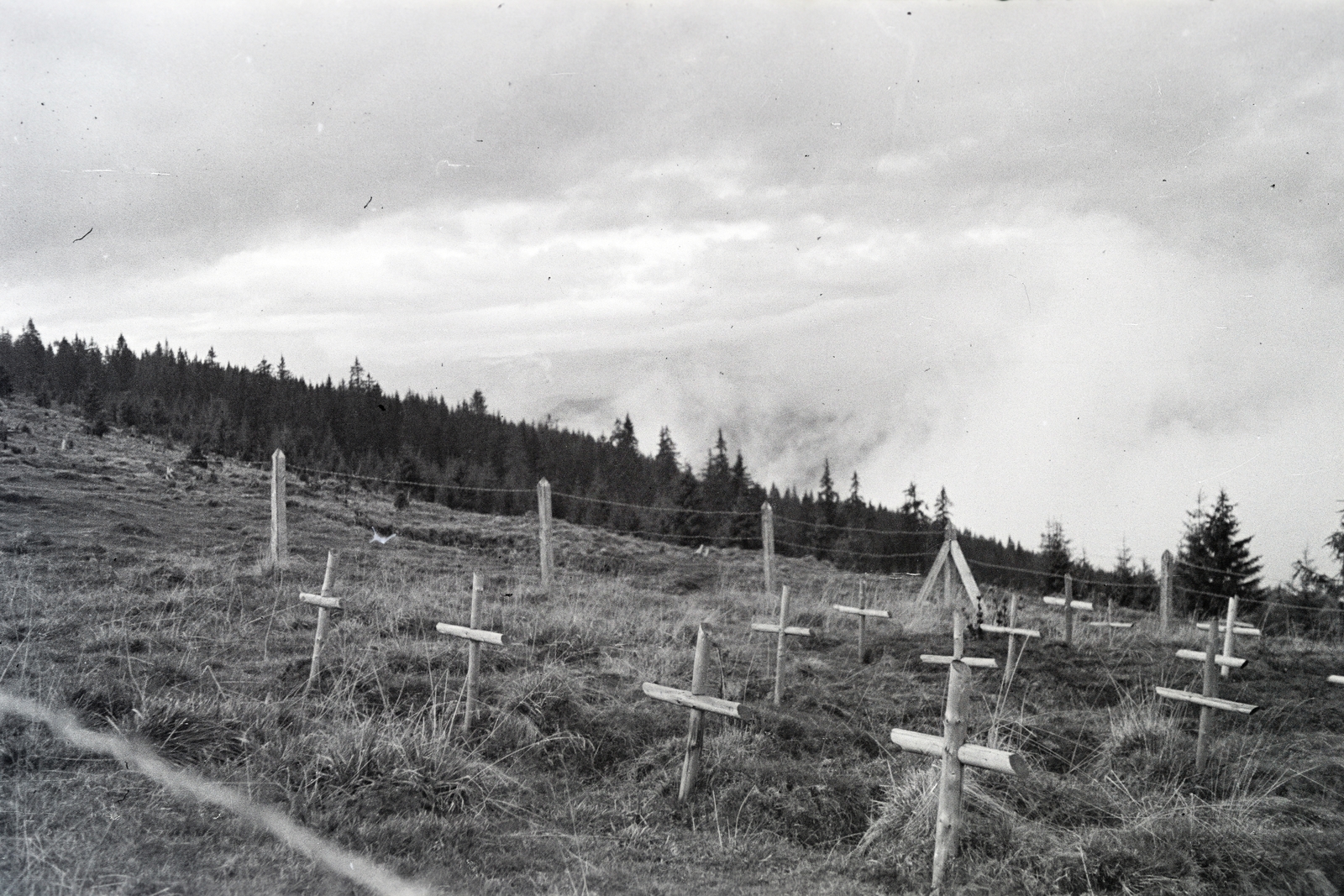 Románia,Erdély, Radnai-havasok (Munții Rodnei), Borsai-hágó (Pasul Prislop), világháborús temető., 1942, Mohai család, Fortepan #257186