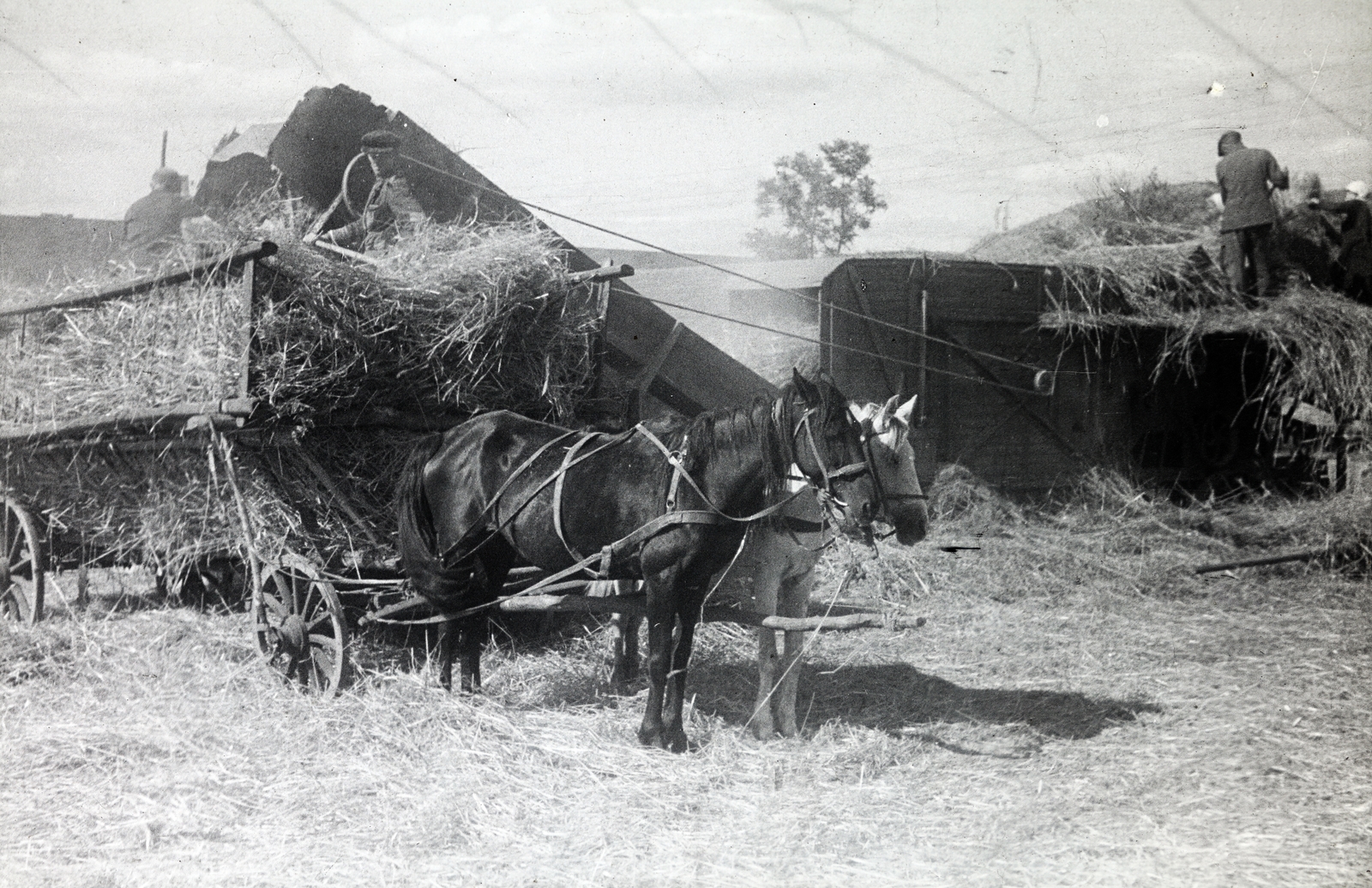 1942, Mohai család, threshing, chariot, threshing machine, Fortepan #257321