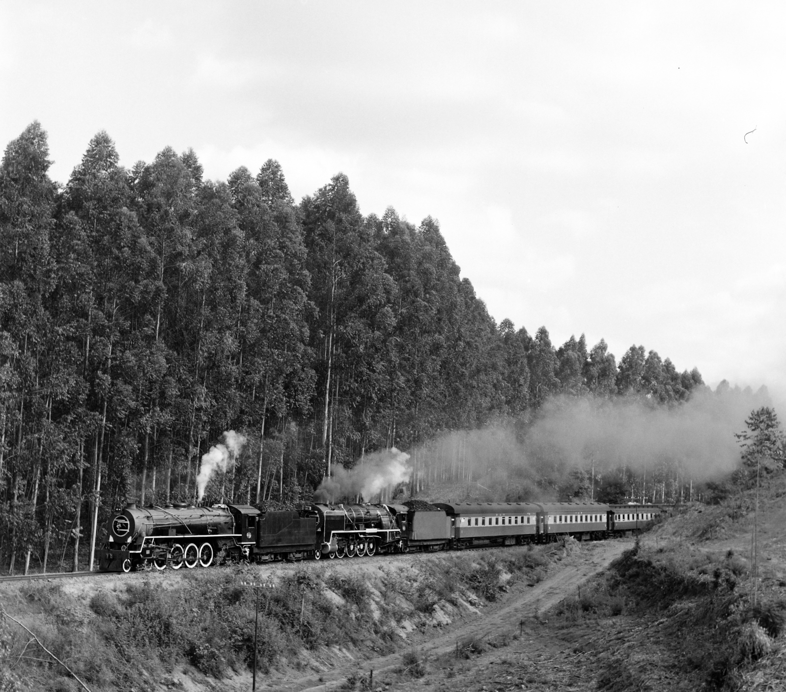 1940, Ladinek Viktor, Best of, steam locomotive,  SAR Class 15CB, Fortepan #257450