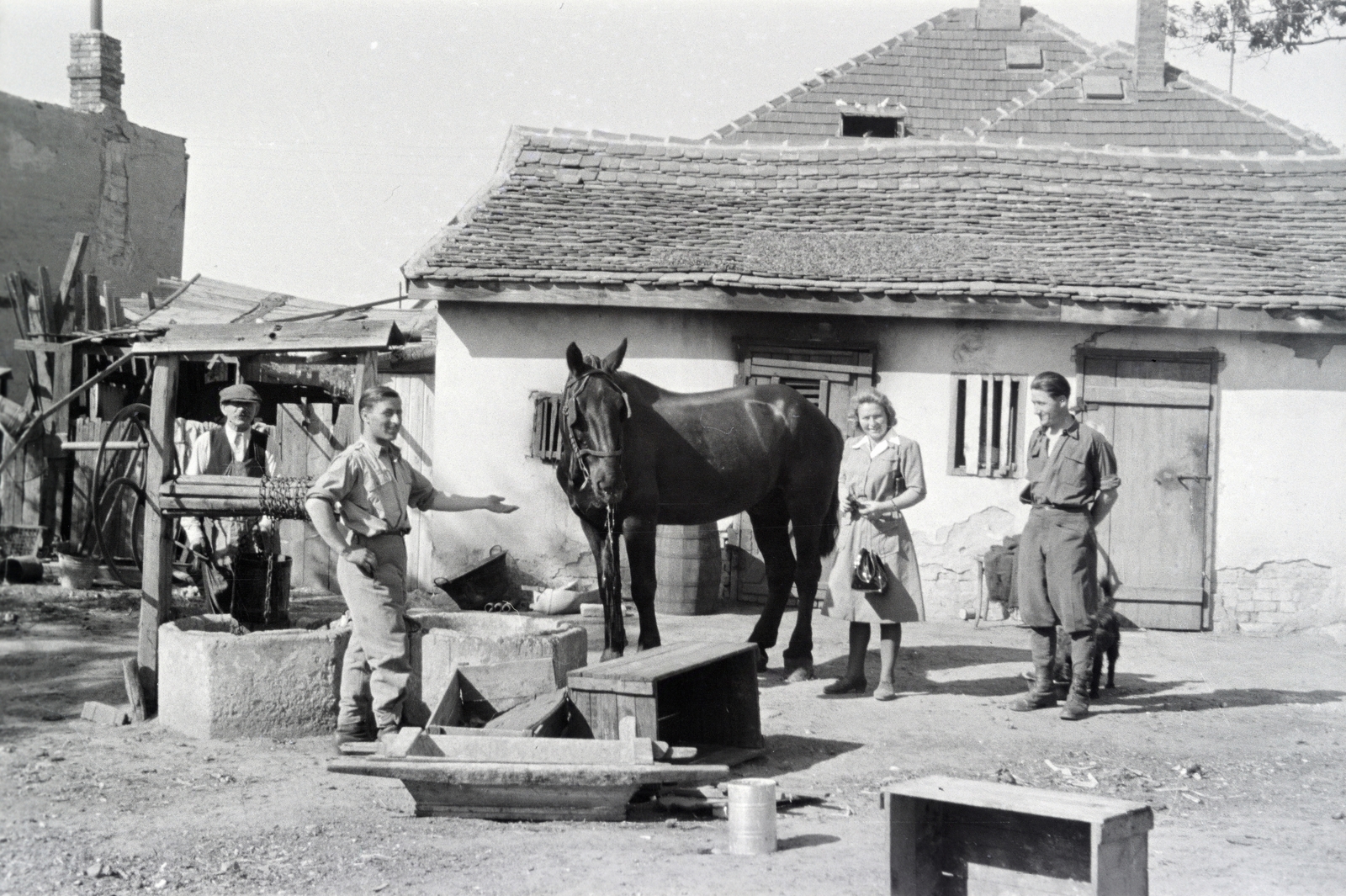 1942, Reményi József, horse, draw well, Fortepan #257546