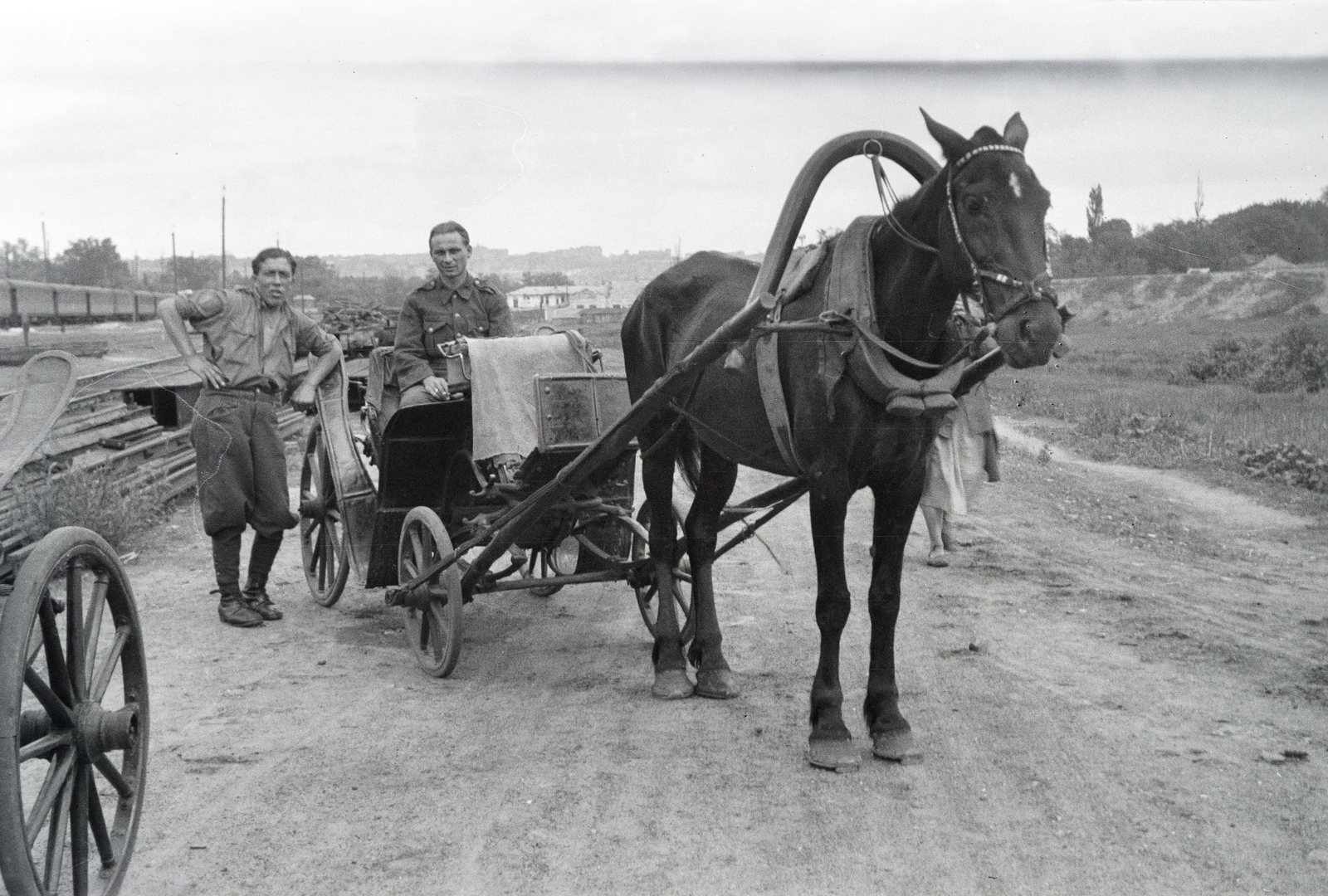 1942, Reményi József, ló, fogat, lószerszám, Fortepan #258124