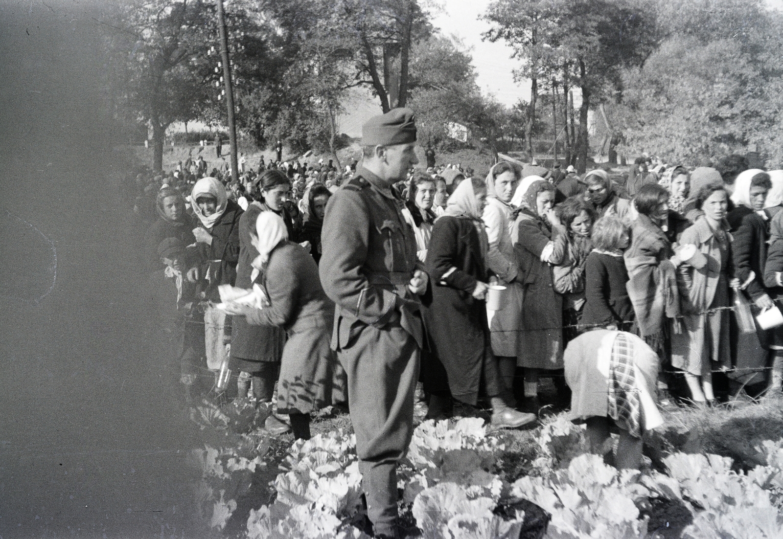 Ukrajna, ételosztás a helyi lakosoknak. A felvétel a vöröskeresztes kórházvonat egyik útjáról készült sorozat része., 1942, Reményi József, tömeg, szegénység, Fortepan #258200