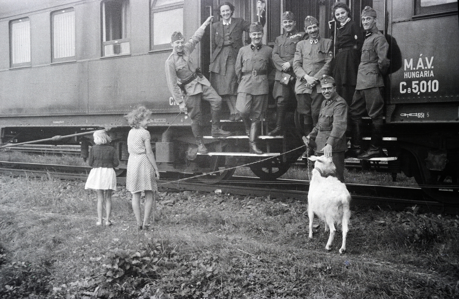 1942, Reményi József, kórházvonat, kecske, Fortepan #258239