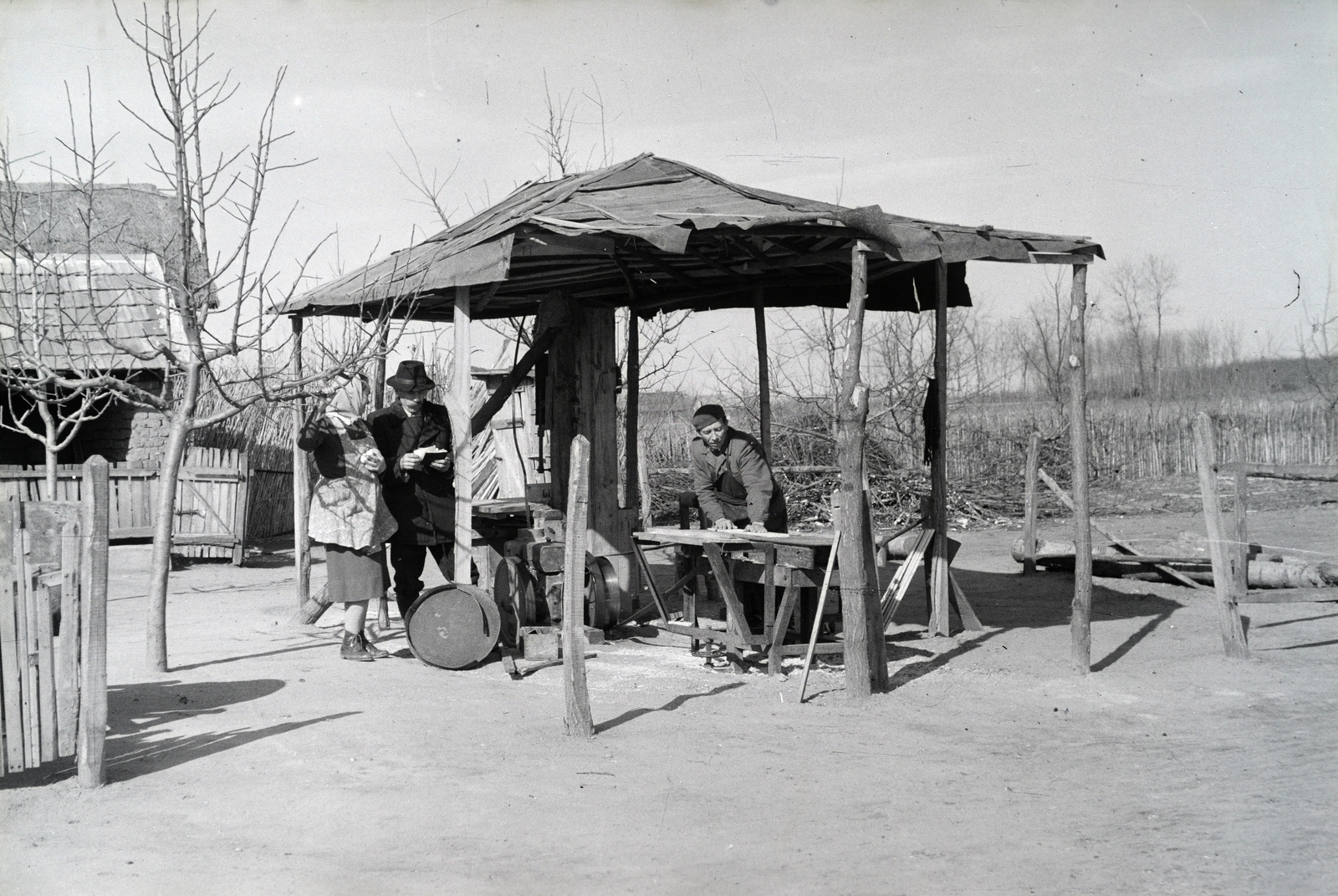 1951, Reményi József, szíjhajtás, fűrész, Fortepan #258345