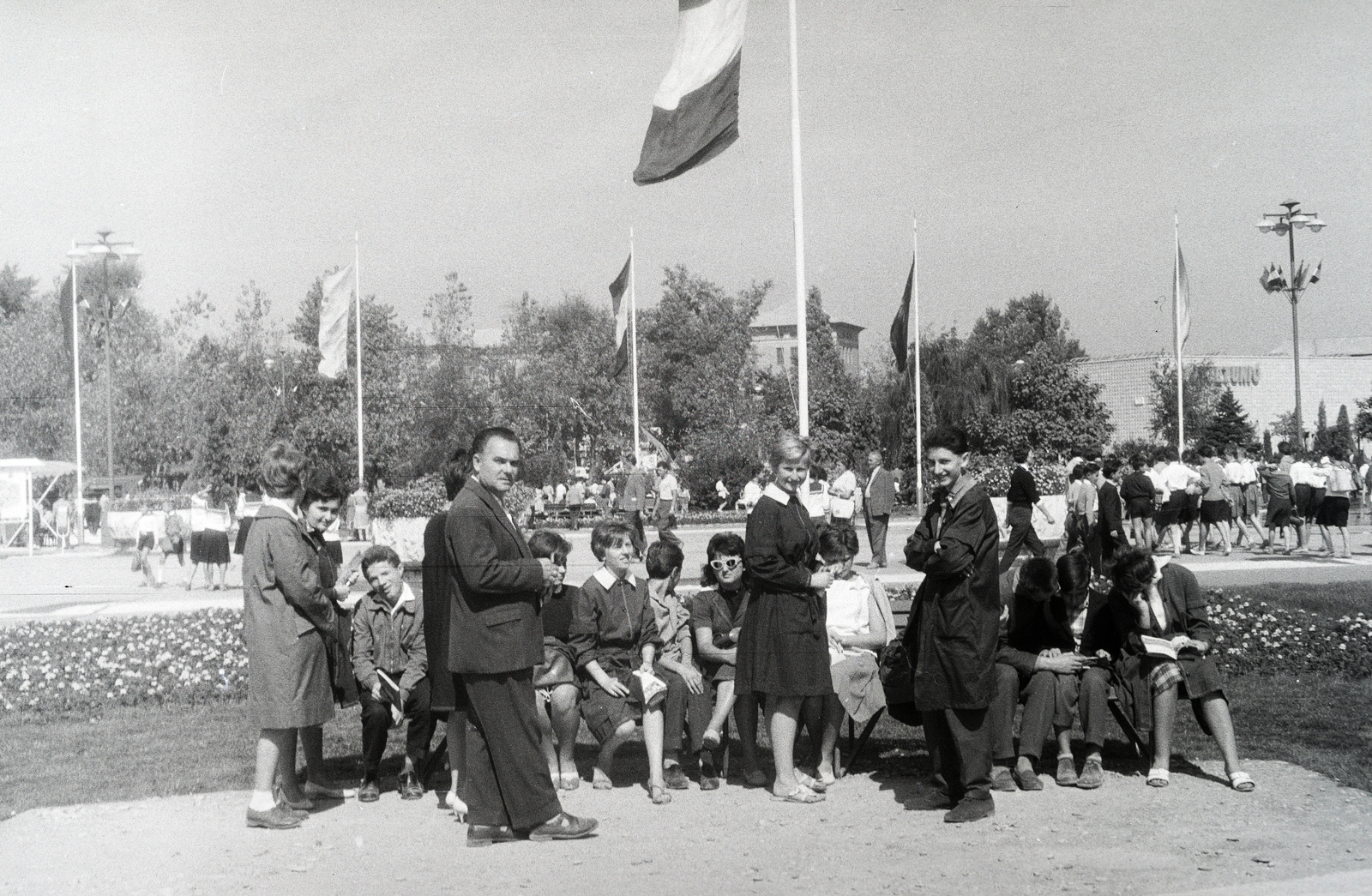 Hungary, Budapest X., Albertirsai úti vásár területe, középen, a fáktól takarva, háttérben a Lóversenypálya tribünje., 1966, Reményi József, Budapest, Fortepan #258353