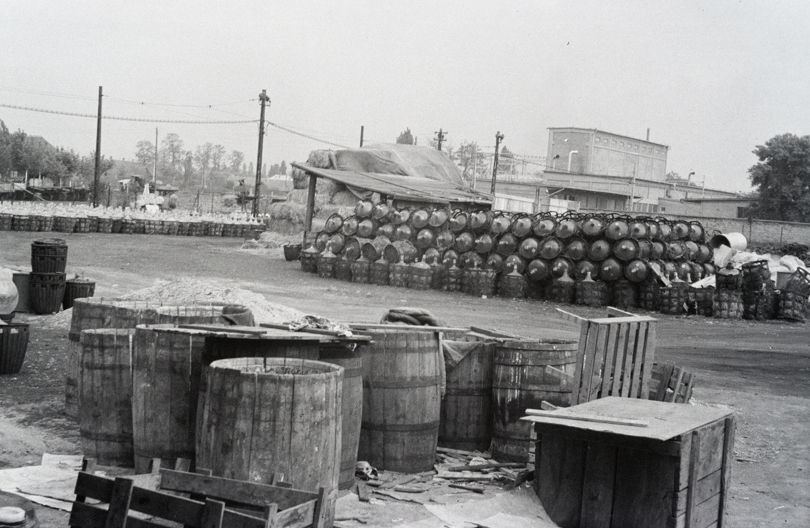 1952, Reményi József, crate, barrel, Fortepan #258385