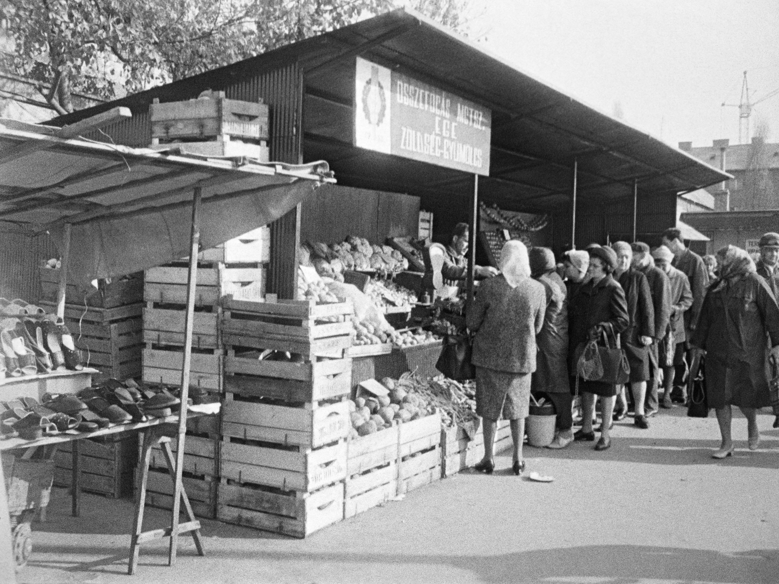 Hungary, Óbuda, Budapest III., Óbudai piac a Kórház utca - Szél utca - Verőfény utca - Vihar utca által határolt területen., 1969, Reményi József, chest, market, greengrocer, standing in line, Budapest, Fortepan #258575