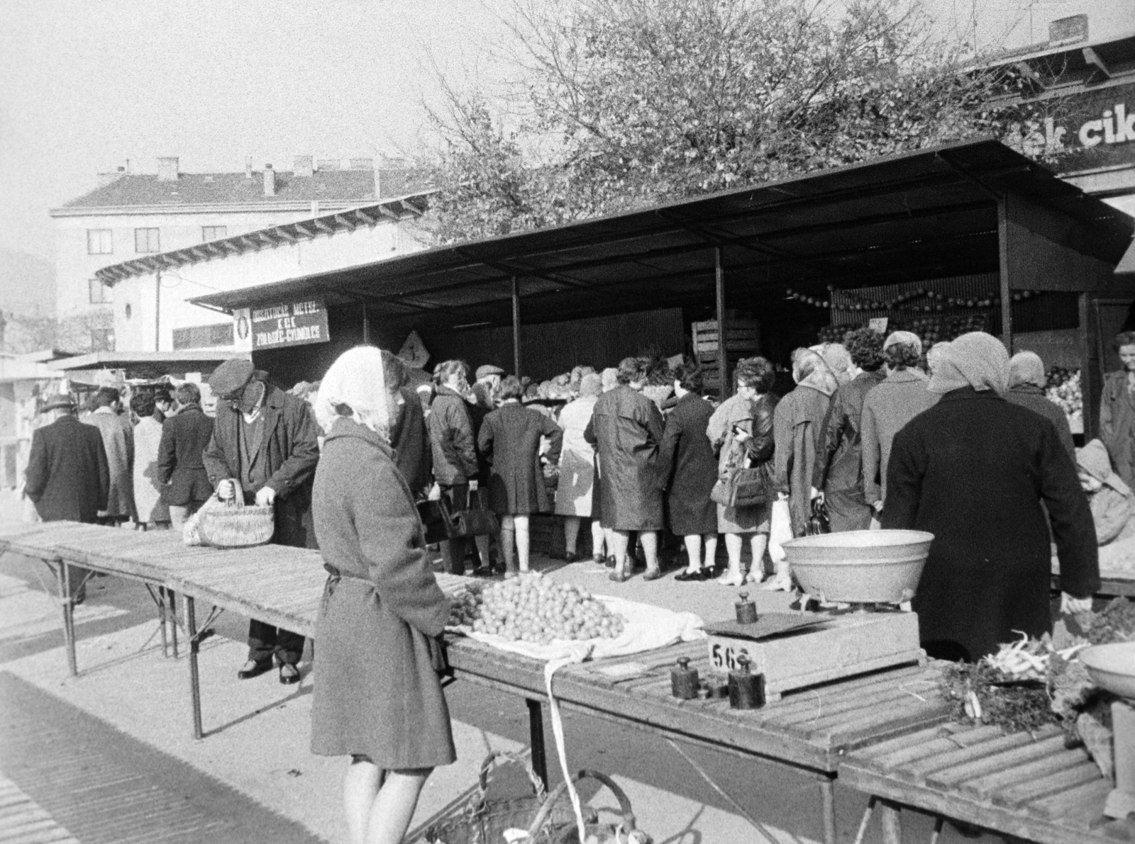 Hungary, Óbuda, Budapest III., Óbudai piac a Kórház utca - Szél utca - Verőfény utca - Vihar utca által határolt területen., 1969, Reményi József, scale, market, standing in line, Budapest, Fortepan #258576