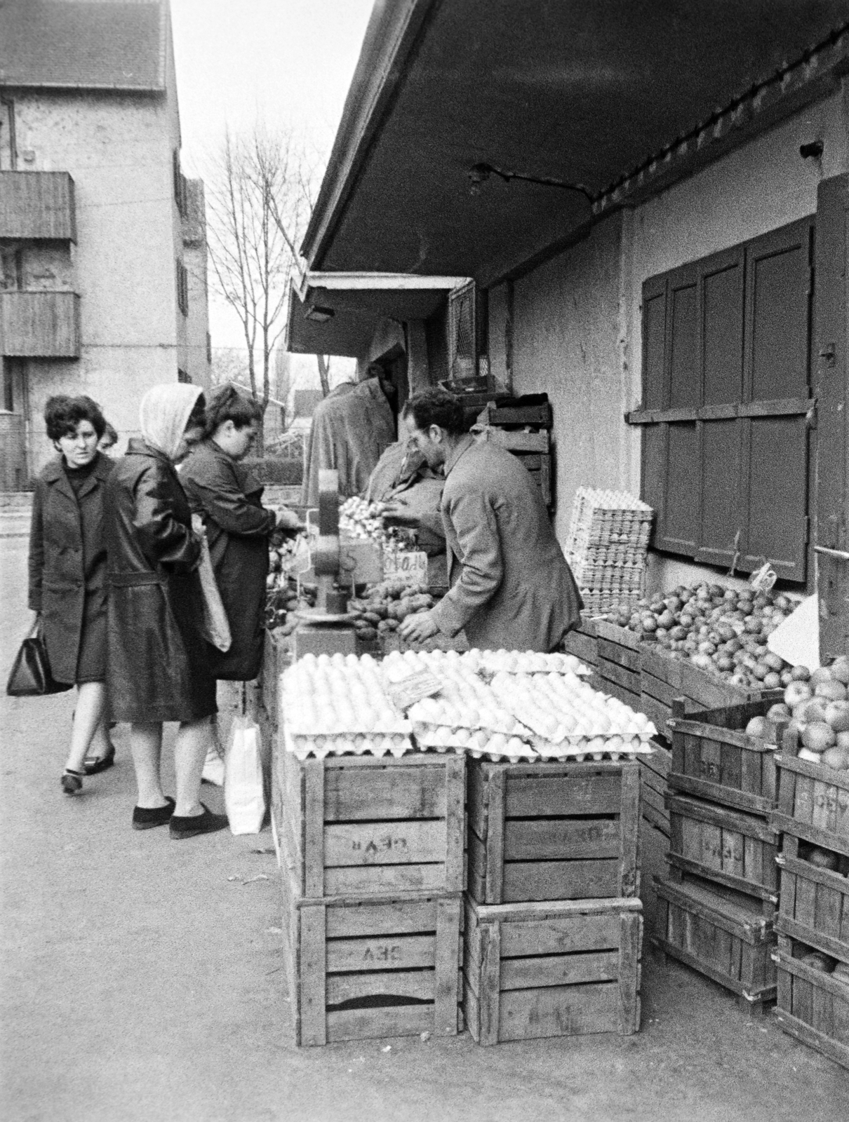 Hungary, Óbuda, Budapest III., Óbudai piac a Kórház utca - Szél utca - Verőfény utca - Vihar utca által határolt területen., 1969, Reményi József, chest, market, egg, Budapest, Fortepan #258589