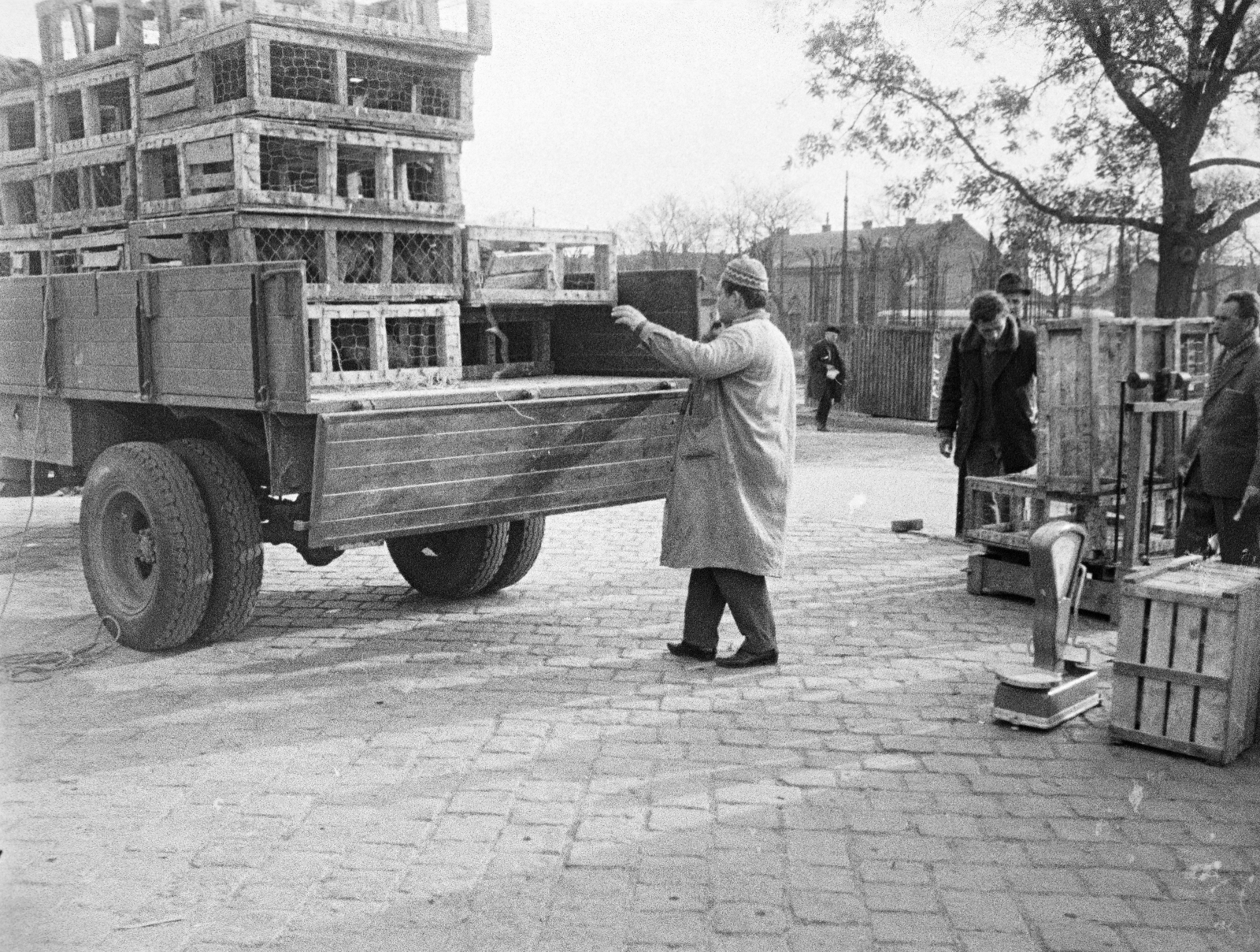 Hungary, Óbuda, Budapest III., Óbudai piac a Kórház utca - Szél utca - Verőfény utca - Vihar utca által határolt területen., 1969, Reményi József, commercial vehicle, chest, scale, market, Budapest, Fortepan #258592
