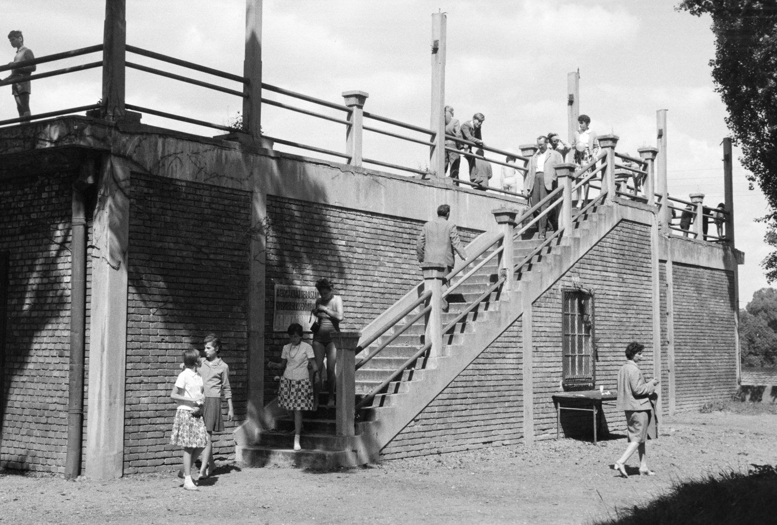 Hungary, Budapest III., Római part, Kossuth Lajos üdülőpart 111., Tungsram üdülőtelep., 1958, Reményi József, Budapest, railing, stairs, Fortepan #258649