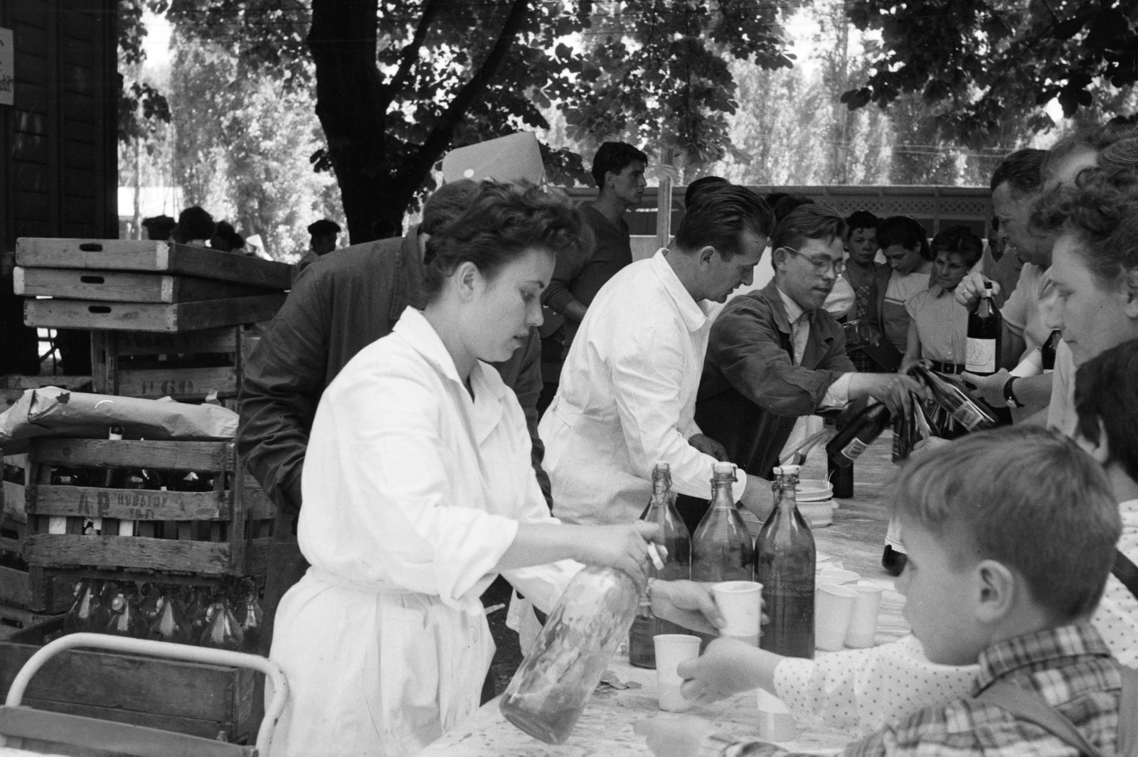 Hungary, Budapest III., Római part, Kossuth Lajos üdülőpart 111., Tungsram üdülőtelep., 1958, Reményi József, Budapest, hospitality, overall, crate, plastic, beer bottle, drink, Fortepan #258650