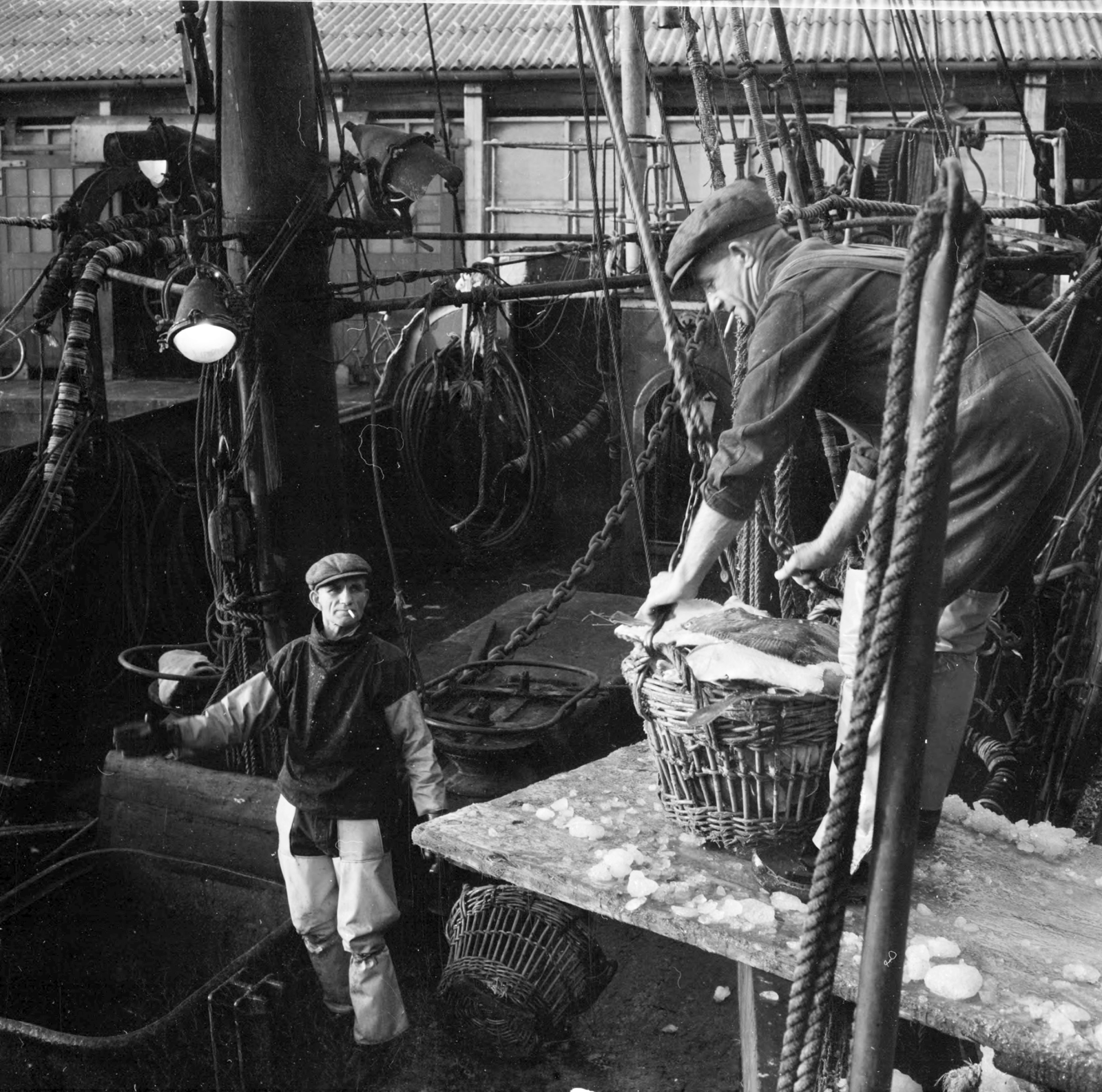 United Kingdom, kikötő., 1956, UWM Libraries, fish, photo aspect ratio: square, smoking, basket, worker, Fortepan #258849