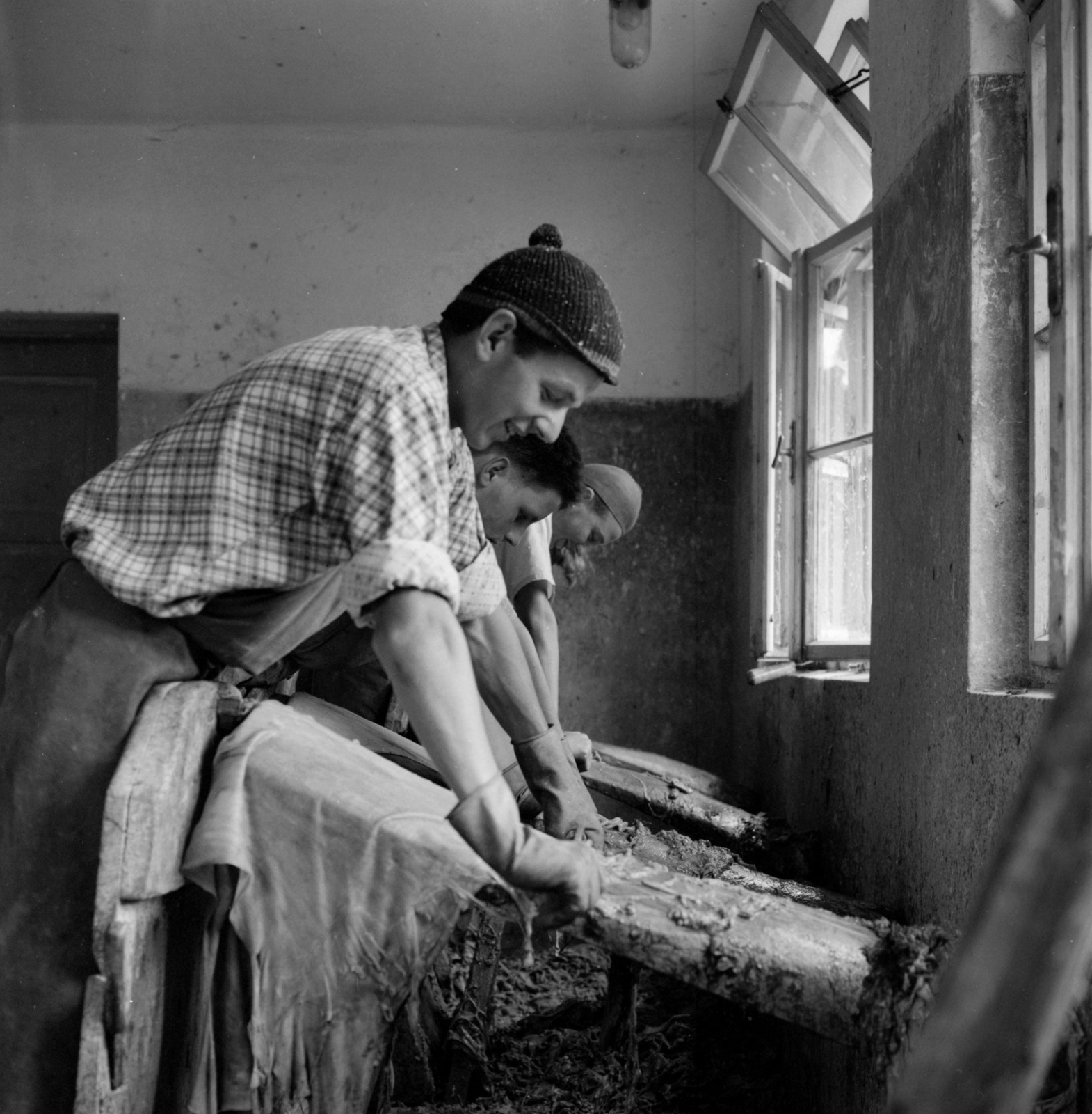 Austria, cserzőműhely., 1956, UWM Libraries, tannery, Fortepan #258947