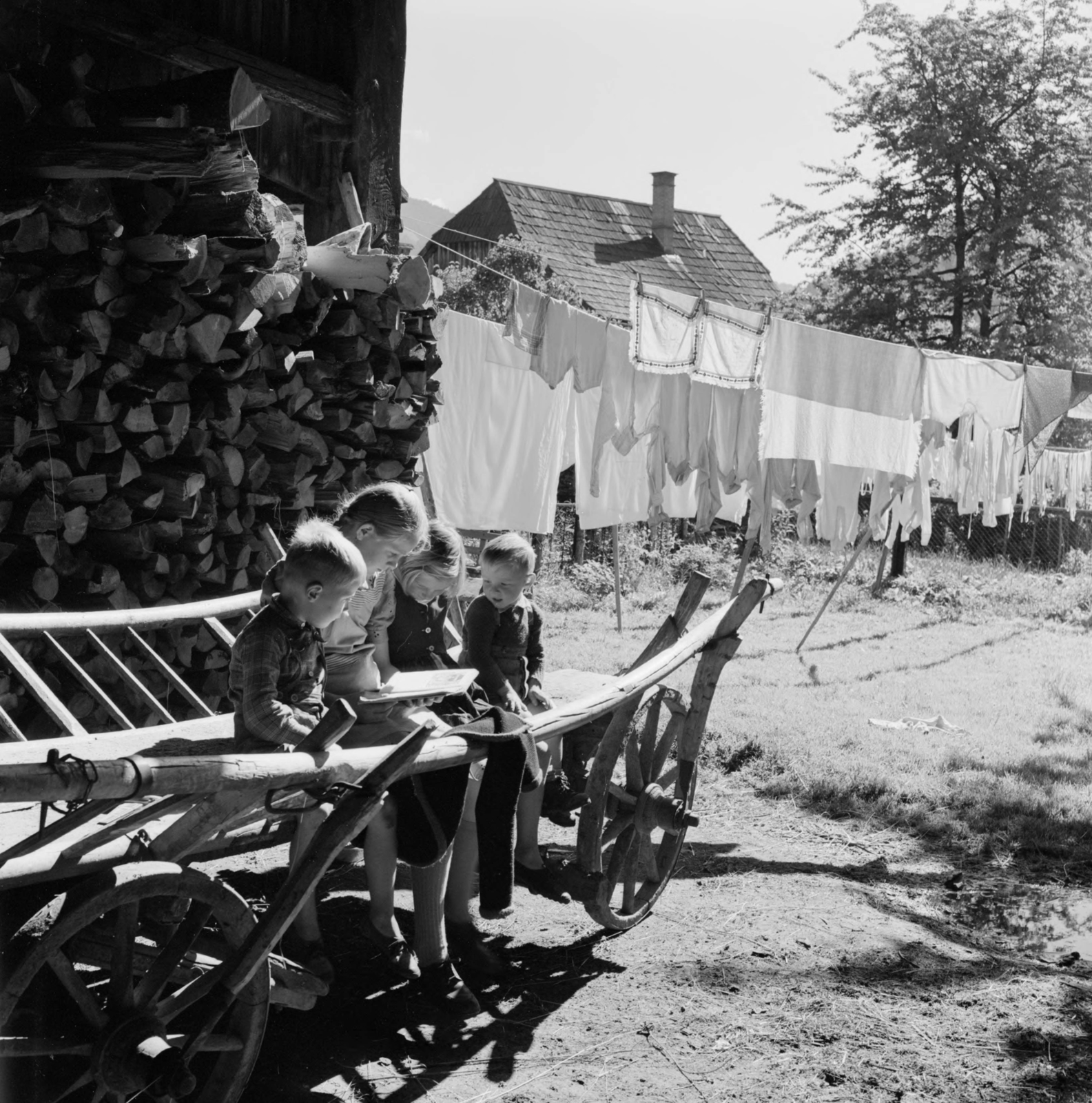 Austria, 1956, UWM Libraries, photo aspect ratio: square, kids, hanging clothes, sunshine, chariot, Fortepan #258951