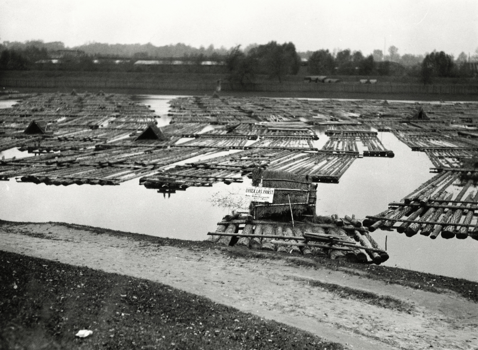 Lengyelország, Nowy Dwór Mazowiecki, Modlin (ekkor önálló, ma a város része), fenyőrönk tutajok a Visztula folyón., 1934, UWM Libraries, Boyd Louise Arner, Fortepan #259000