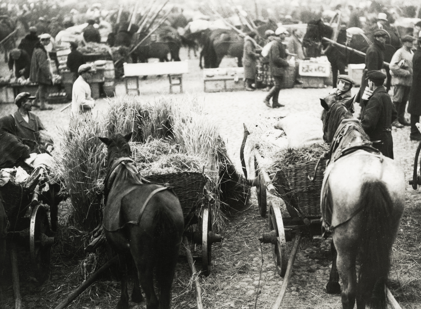 Belarus, a felvétel a havi, lengyel piac alkalmával készült., 1934, UWM Libraries, chariot, market, Fortepan #259050