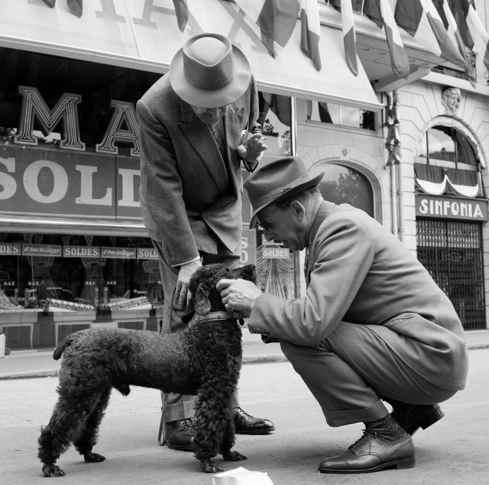 Franciaország, Párizs, Avenue des Champs-Élysées., 1958, UWM Libraries, Best of, képarány: négyzetes, kutya, szeretet, uszkár, Fortepan #259212