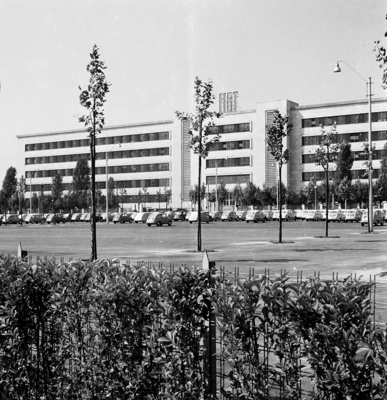 Italy, Turin, Corso Giovanni Agnelli, FIAT autógyár., 1960, UWM Libraries, modern architecture, sapling, Fortepan #259562